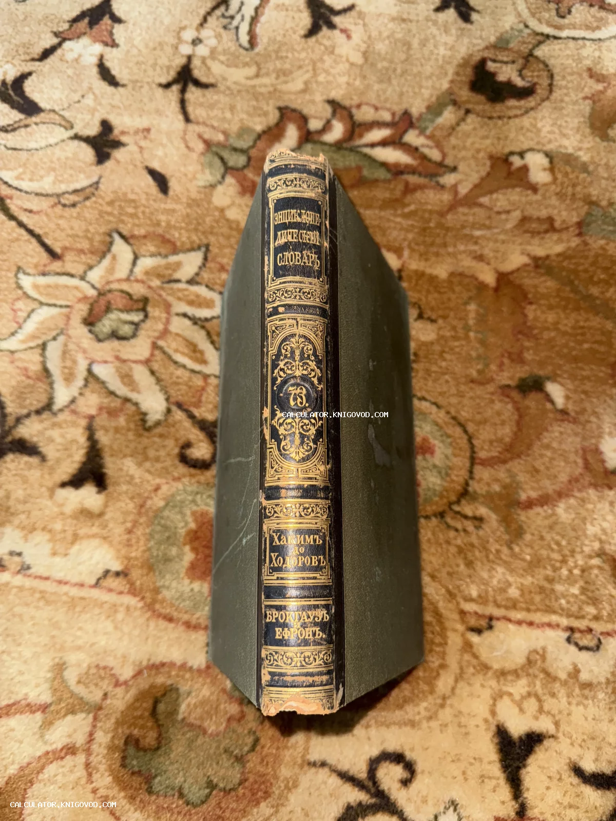 Корешок антикварной книги 'Энциклопедический словарь Брокгауза и Ефрона', том 73, с золотым тиснением на темном фоне.