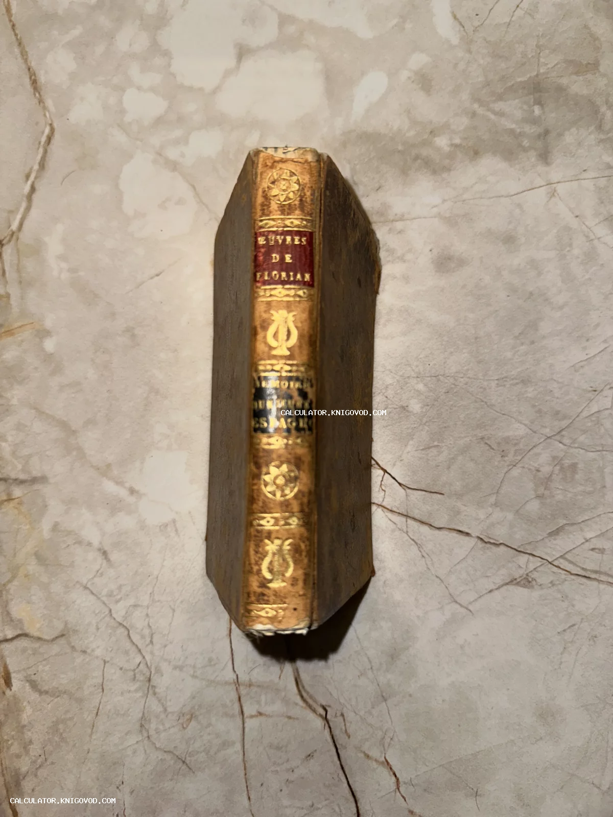 Корешок старинной книги в кожаном переплете с золотым тиснением 'Oeuvres de Florian' на мраморной поверхности.