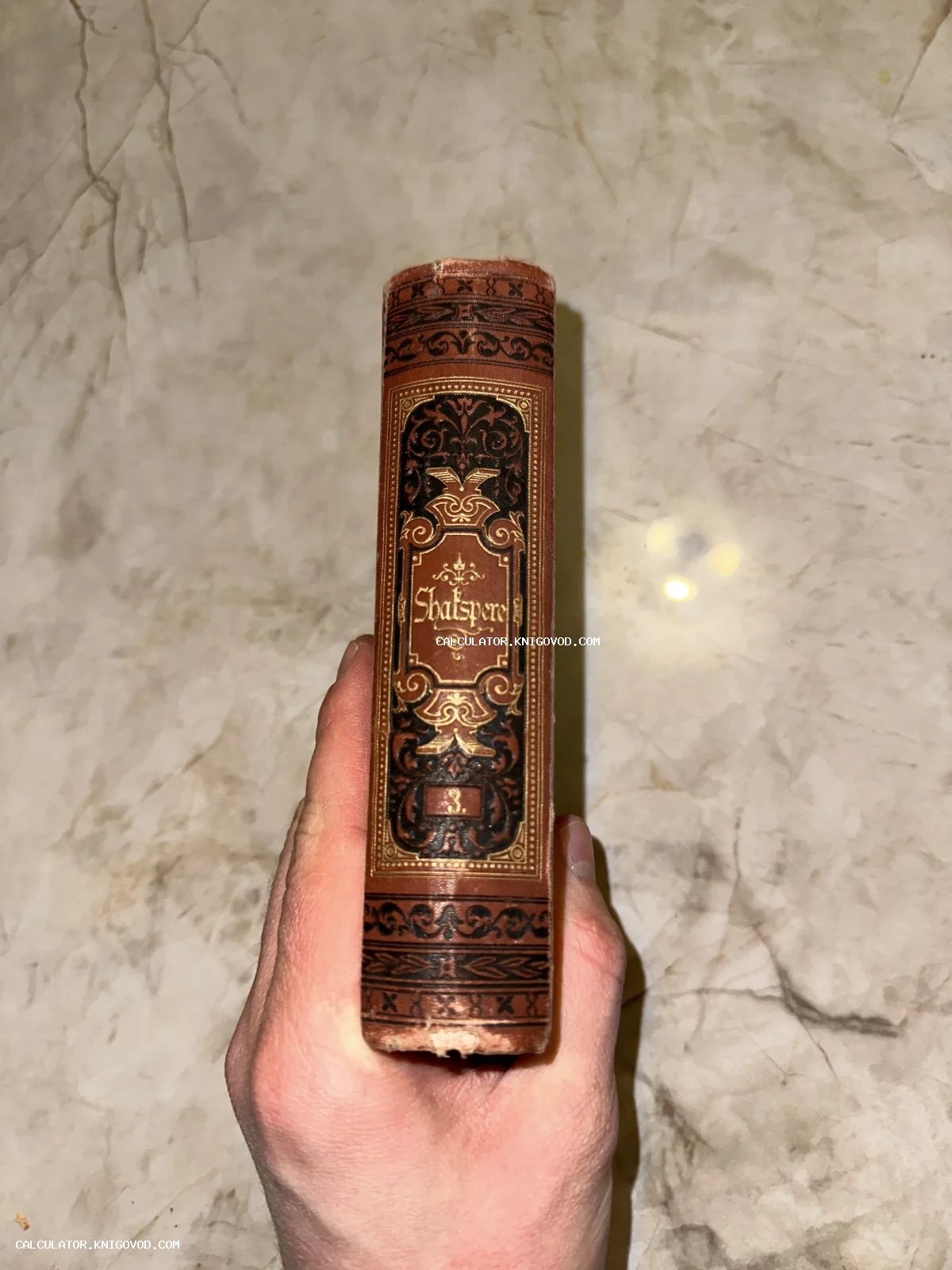 Корешок старинной книги Уильяма Шекспира с золотым тиснением и орнаментом.