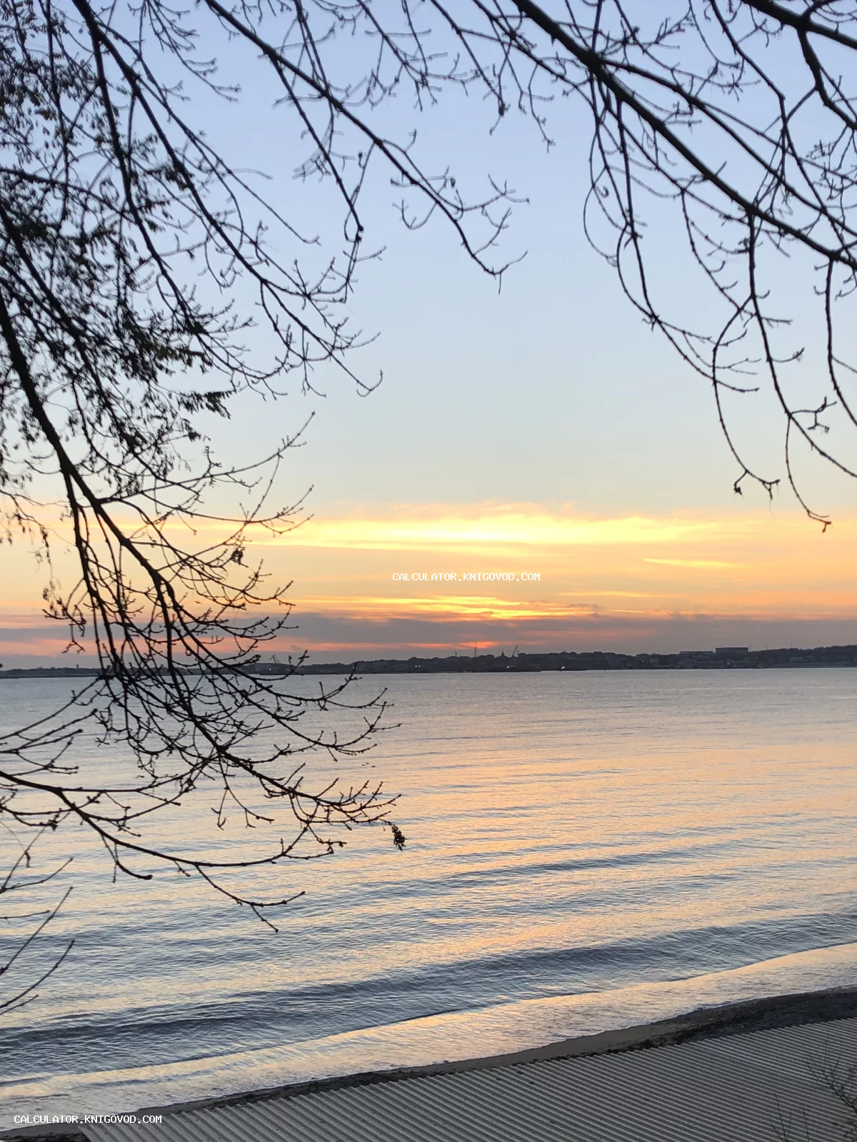 Вид на морской закат сквозь силуэты ветвей деревьев, оранжевое небо и спокойная вода