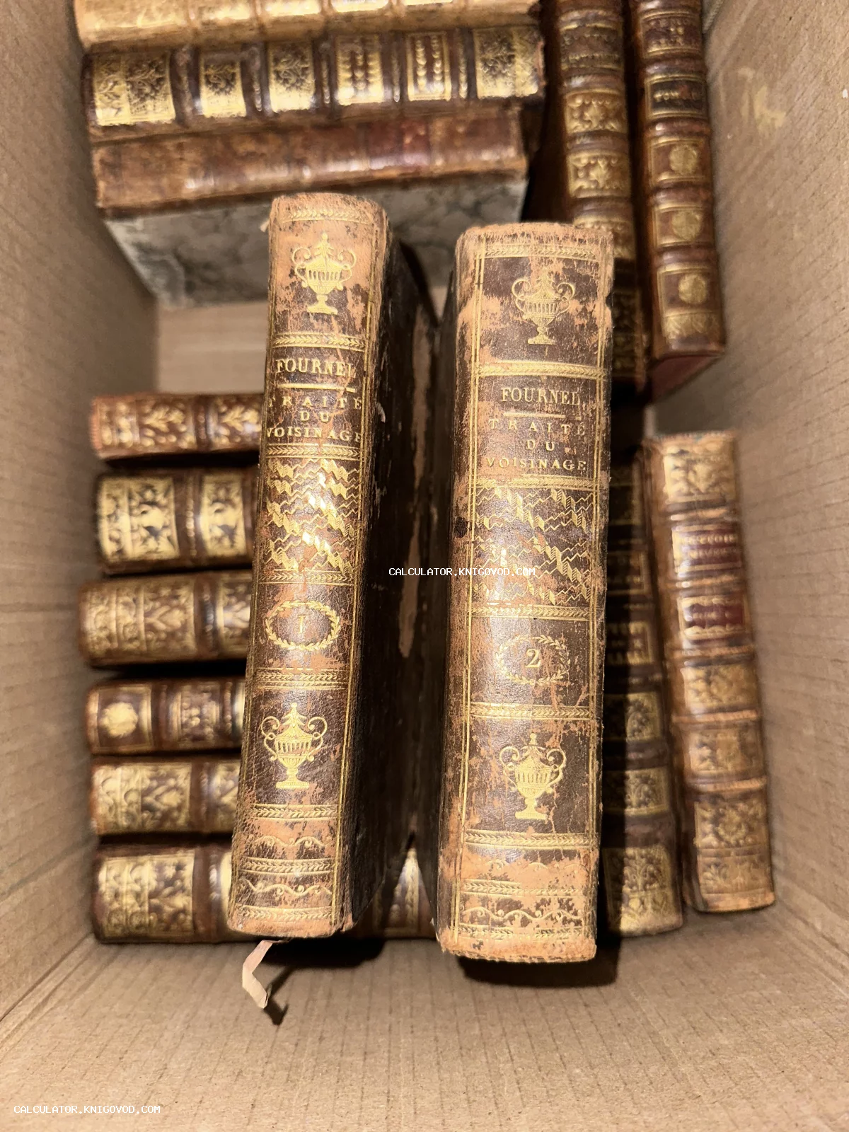 Старинные французские книги в кожаных переплетах с золотым тиснением в коробке, на переднем плане двухтомник Fournel Traité du Voisinage.