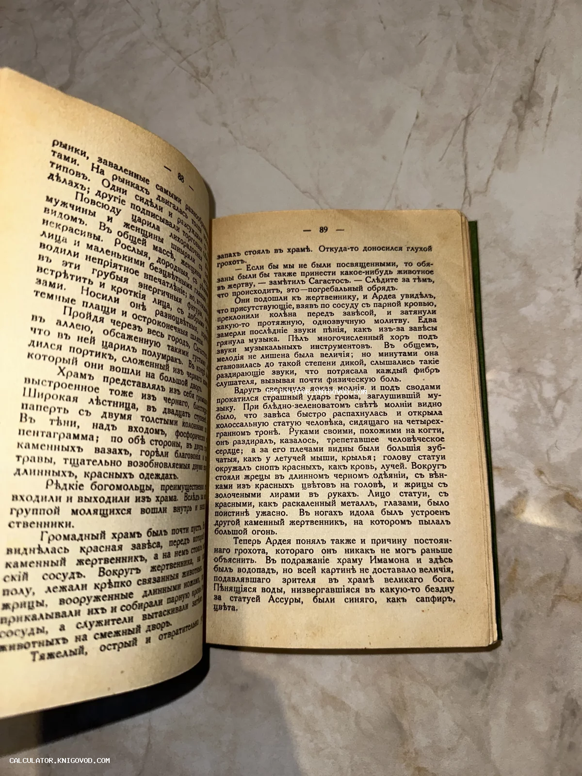 Раскрытая старинная книга на страницах 88 и 89 с текстом на дореволюционном русском языке.