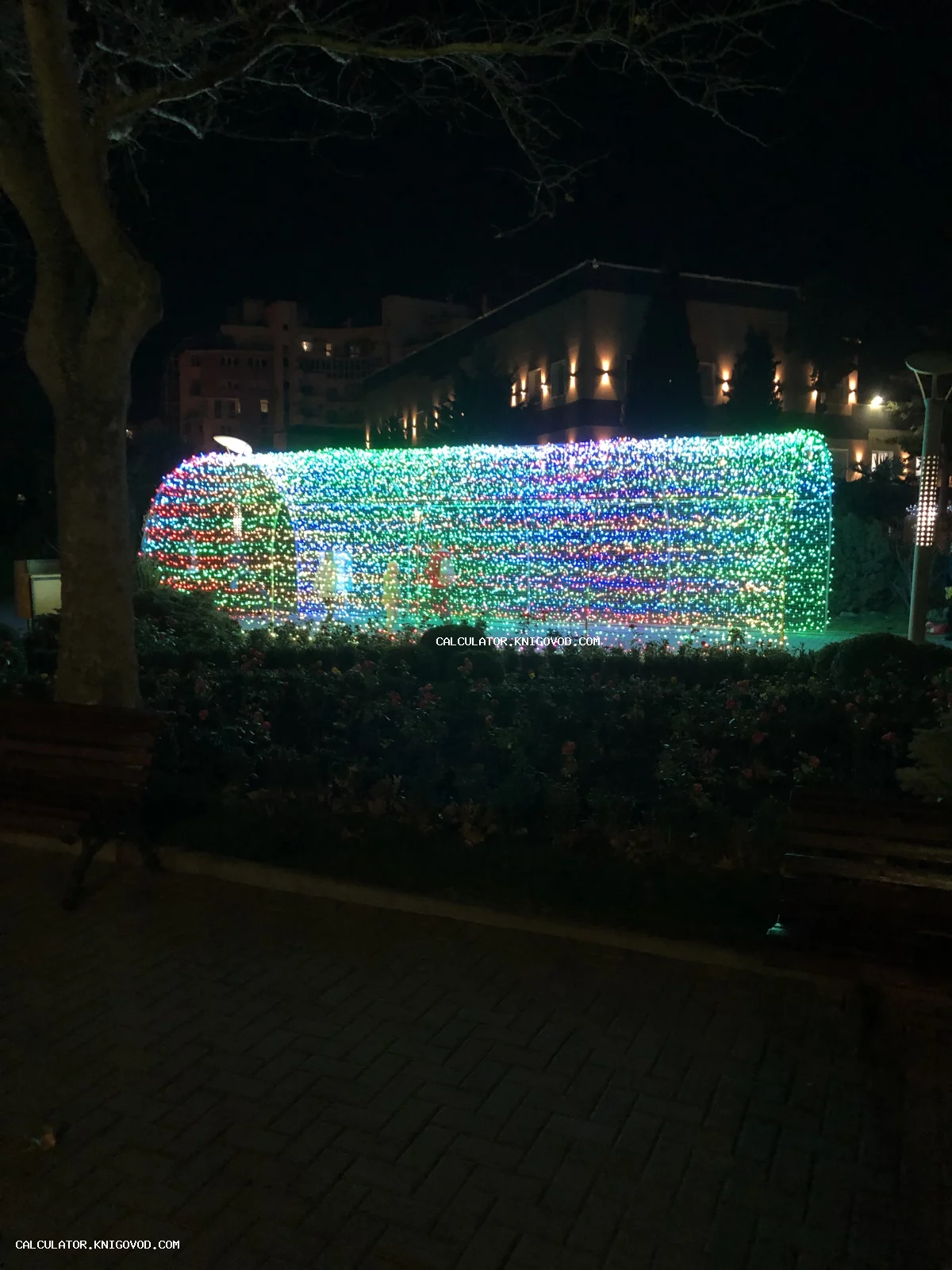 Светящийся разноцветный тоннель из гирлянд в ночном парке на фоне деревьев и здания.