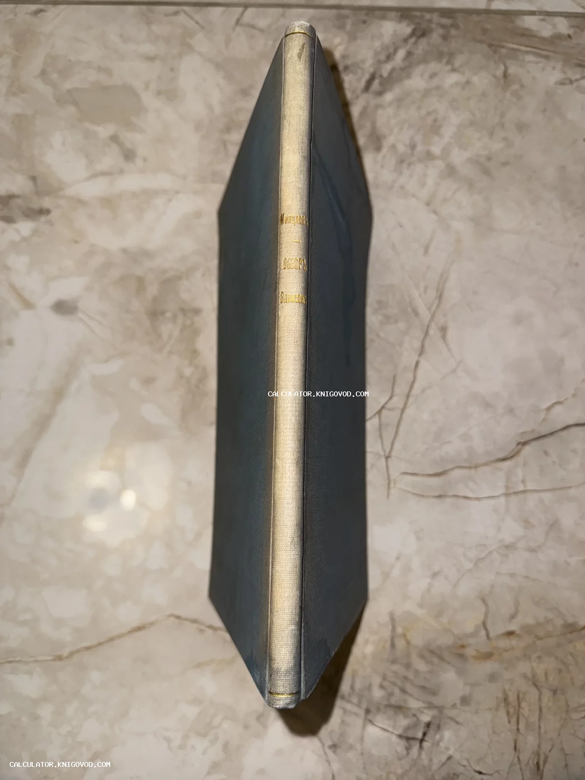 Корешок антикварной книги в сером тканевом переплете с золотым тиснением фамилии Мандельштам на мраморном фоне.