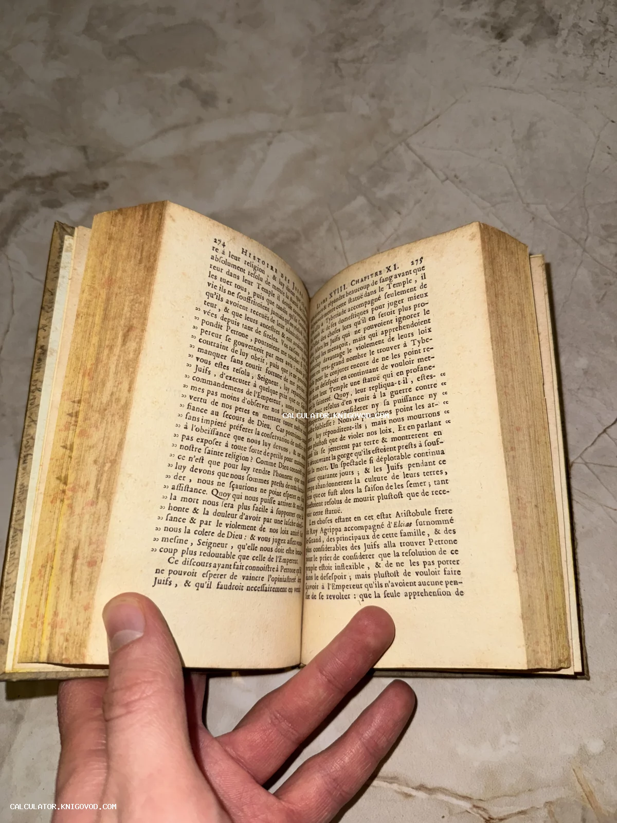 Разворот старинной книги на французском языке с пожелтевшими страницами и четким типографским шрифтом.