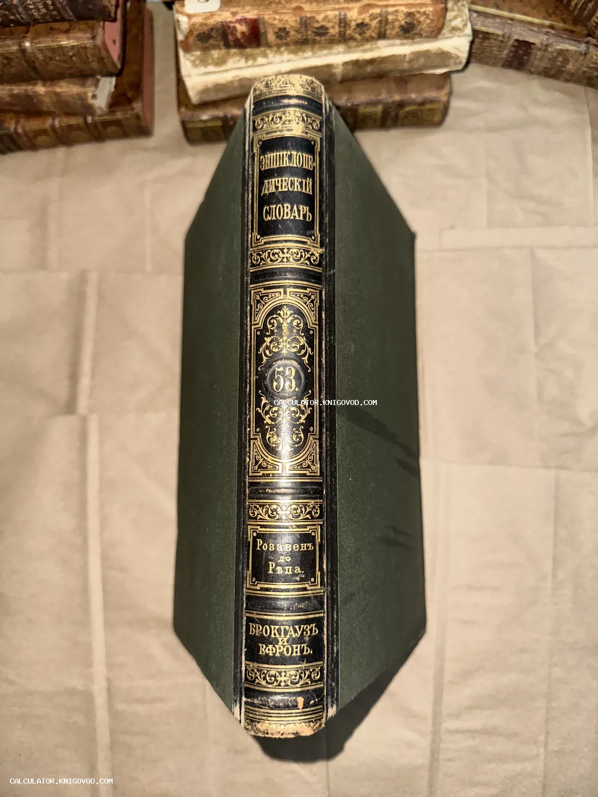 Корешок антикварного тома Энциклопедического словаря Брокгауза и Ефрона с золотым тиснением и орнаментом.