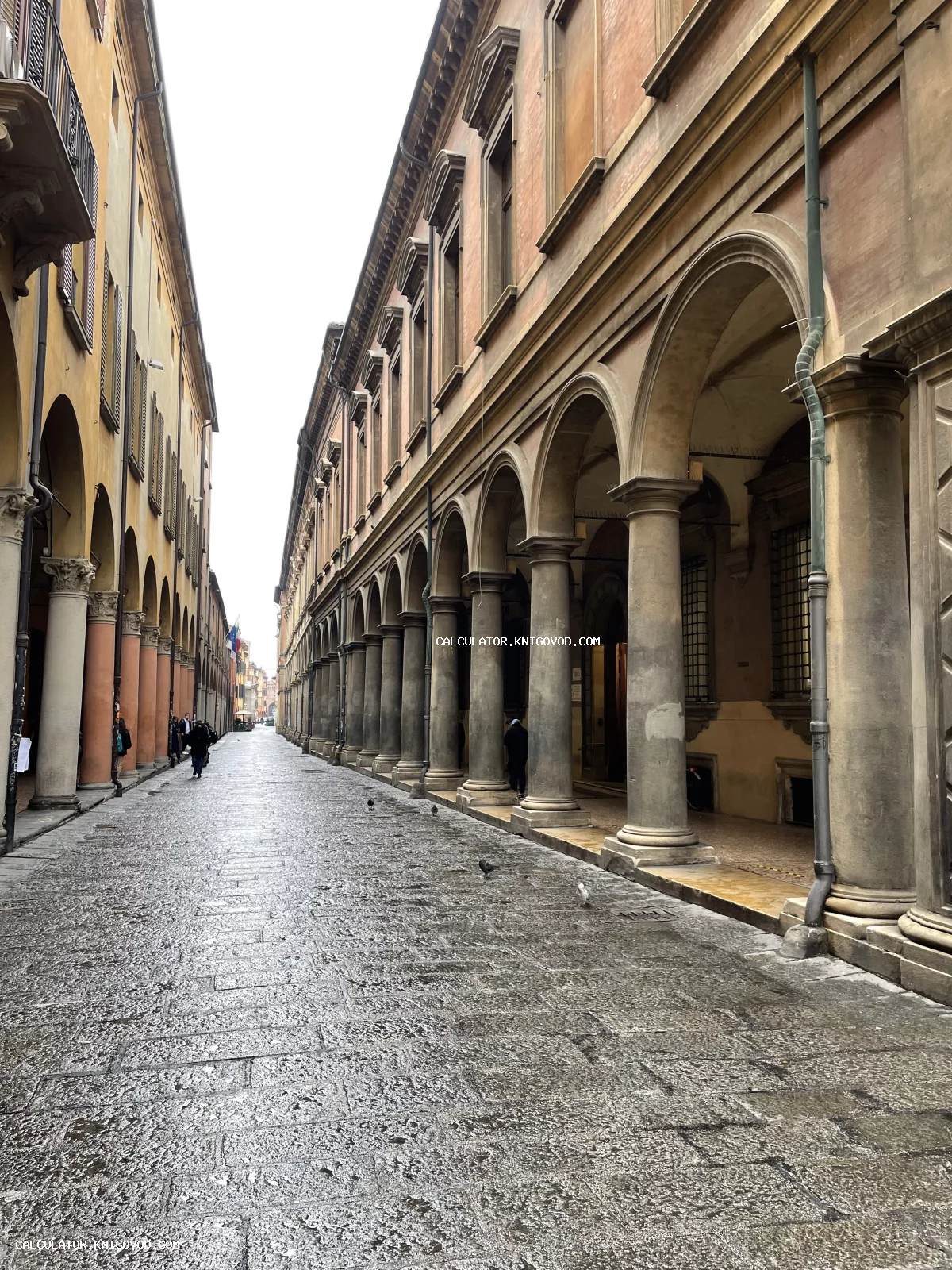 Узкая мощеная улица с высокими каменными колоннадами и аркадами под пасмурным небом