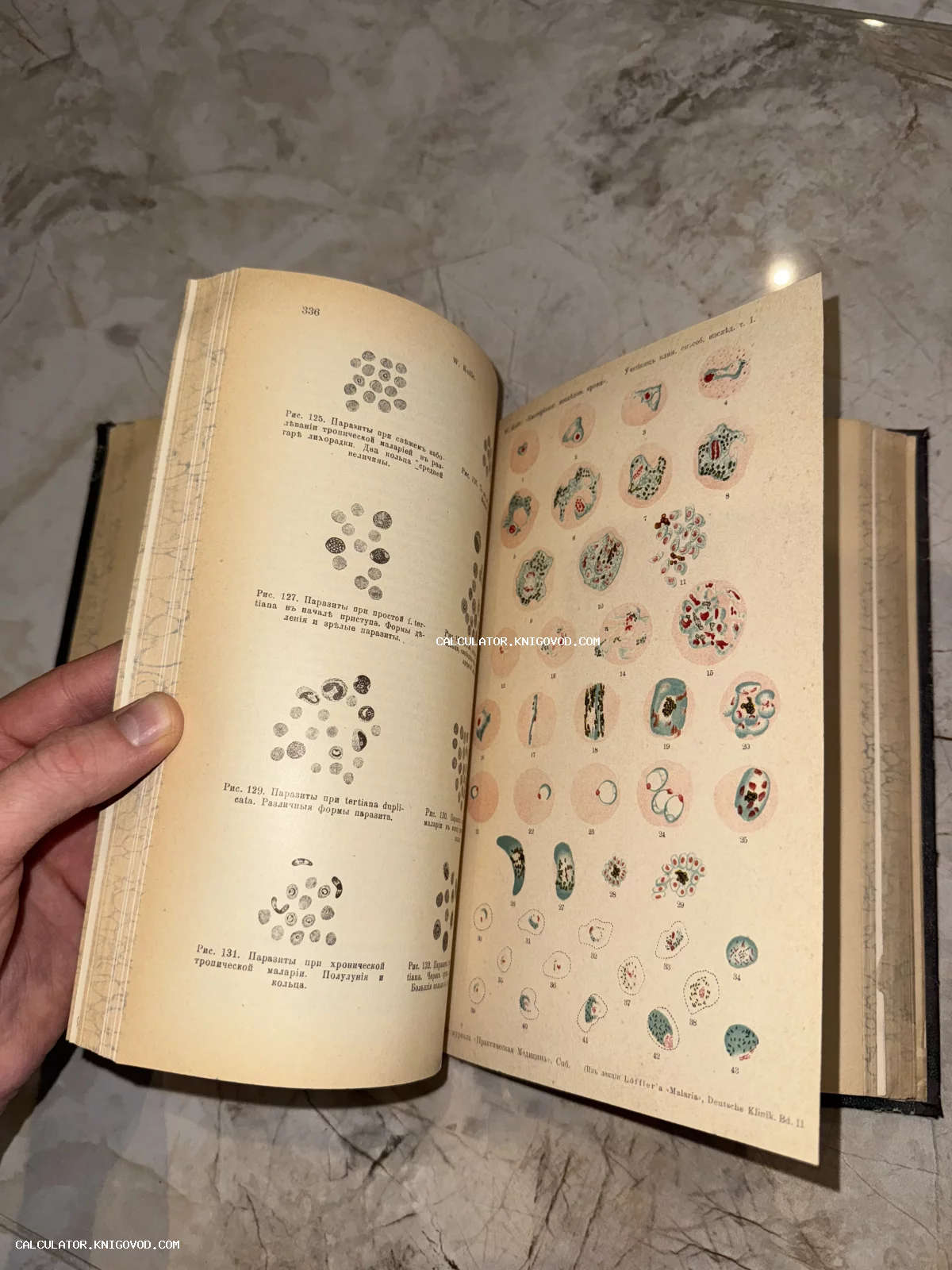 Разворот старинной медицинской книги с дореволюционным шрифтом и цветными иллюстрациями микроскопических исследований крови.