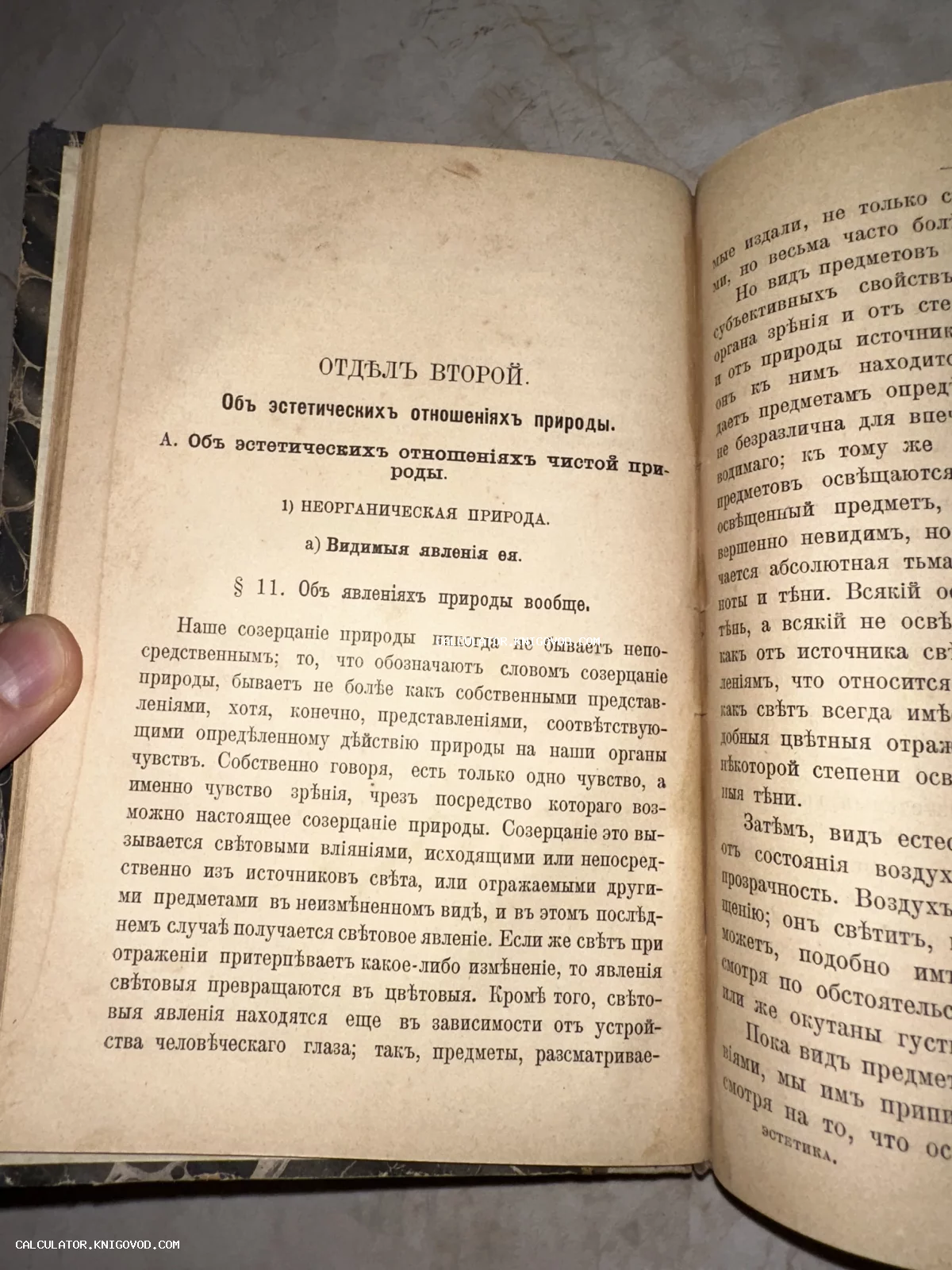 Разворот открытой антикварной книги с текстом на дореволюционном русском языке, посвященным эстетике и философии природы.