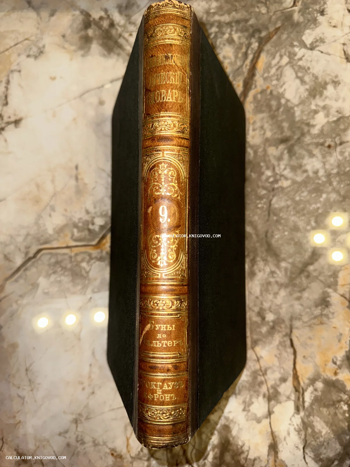 Корешок антикварной книги в кожаном переплете с золотым тиснением — 9-й том энциклопедии Брокгауза и Ефрона.