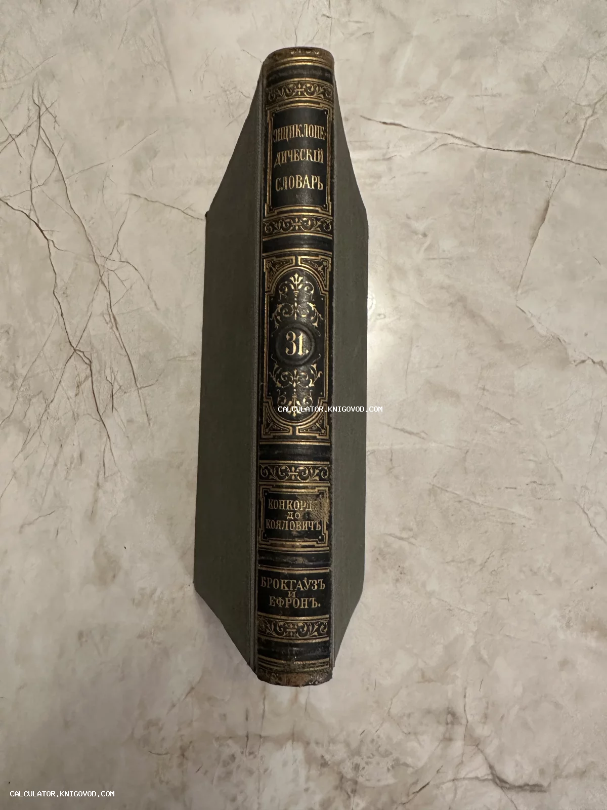 Корешок антикварной книги «Энциклопедический словарь Брокгауза и Ефрона», том 31, с золотым тиснением на темной коже.