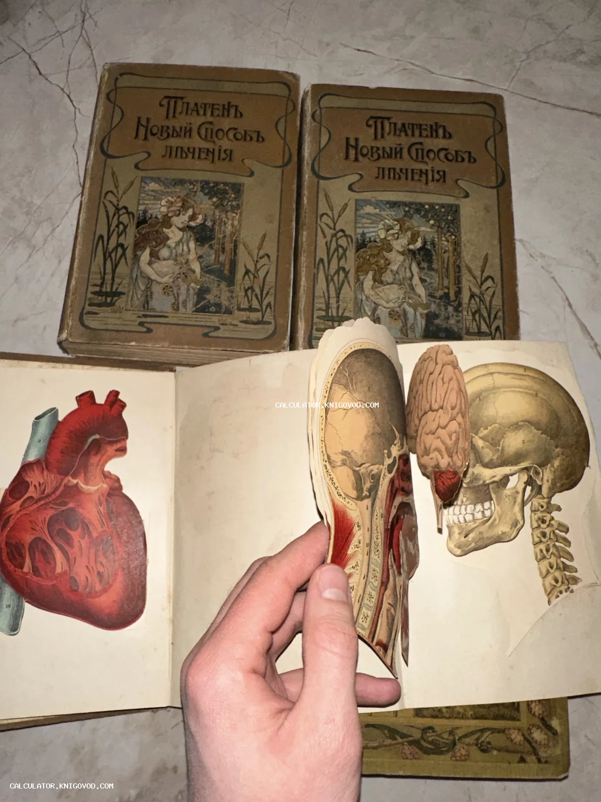 Старинная медицинская книга с объемными цветными иллюстрациями человеческого сердца, мозга и черепа на развороте.