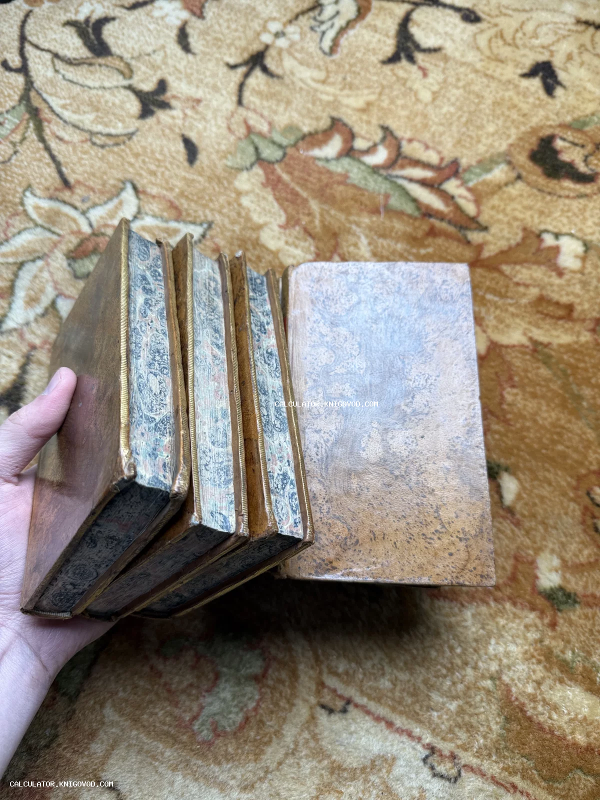 Стопка из четырех старинных книг в кожаных переплетах с мраморным обрезом, удерживаемая рукой.