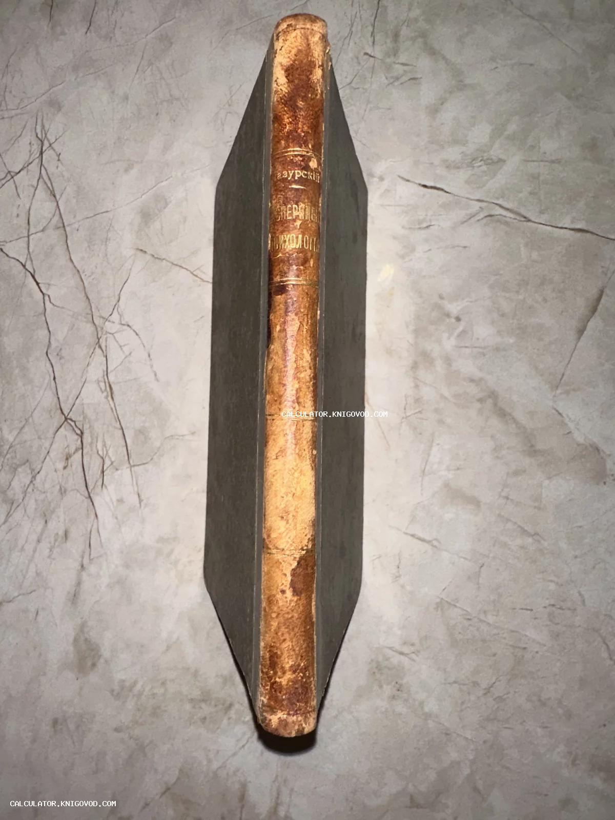 Старинный кожаный корешок книги Лазурского «Очерки по психологии» с золотым тиснением на мраморном фоне.