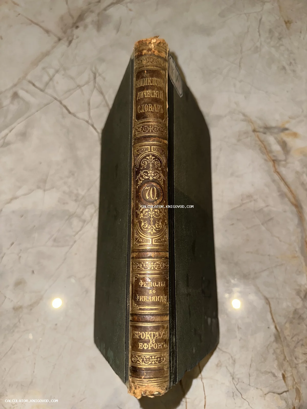 Вид на кожаный корешок антикварной книги 'Энциклопедический словарь Брокгауза и Ефрона' с золотым тиснением и орнаментом.