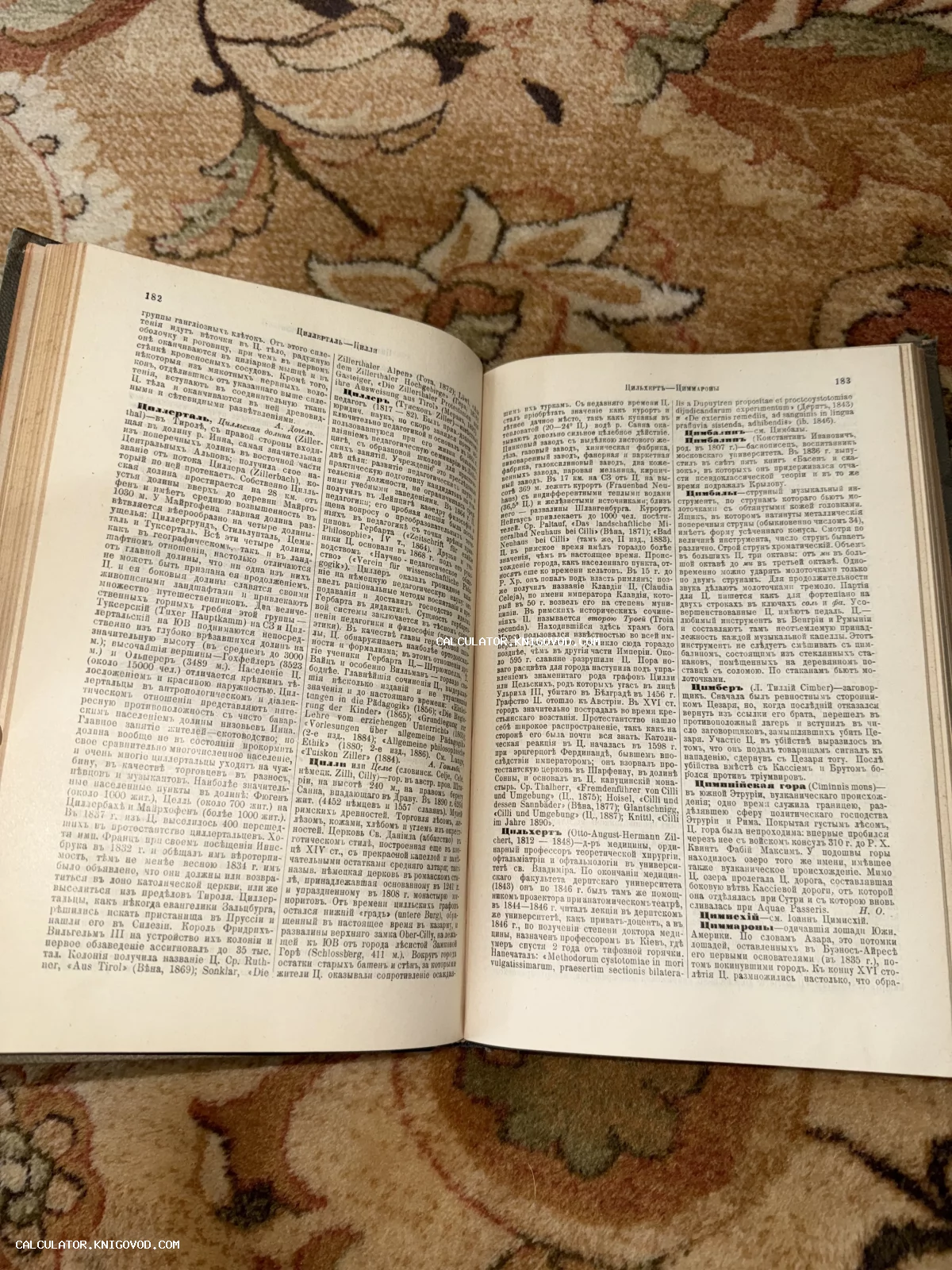 Две страницы раскрытой старинной книги с плотным типографским текстом на дореволюционном русском языке.