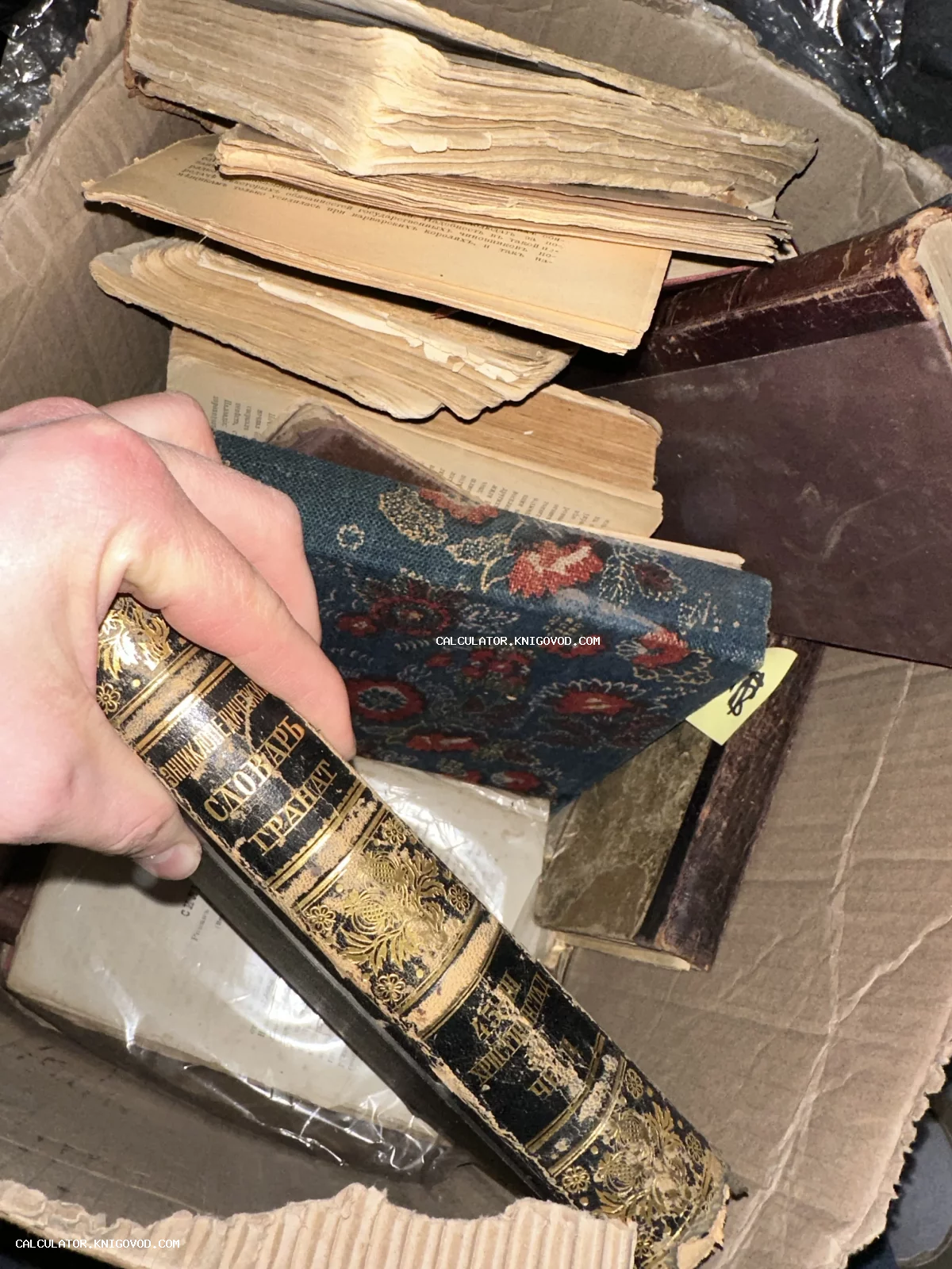 Коллекция старинных книг в коробке, рука держит том Энциклопедического словаря Гранат с золотым тиснением на корешке.