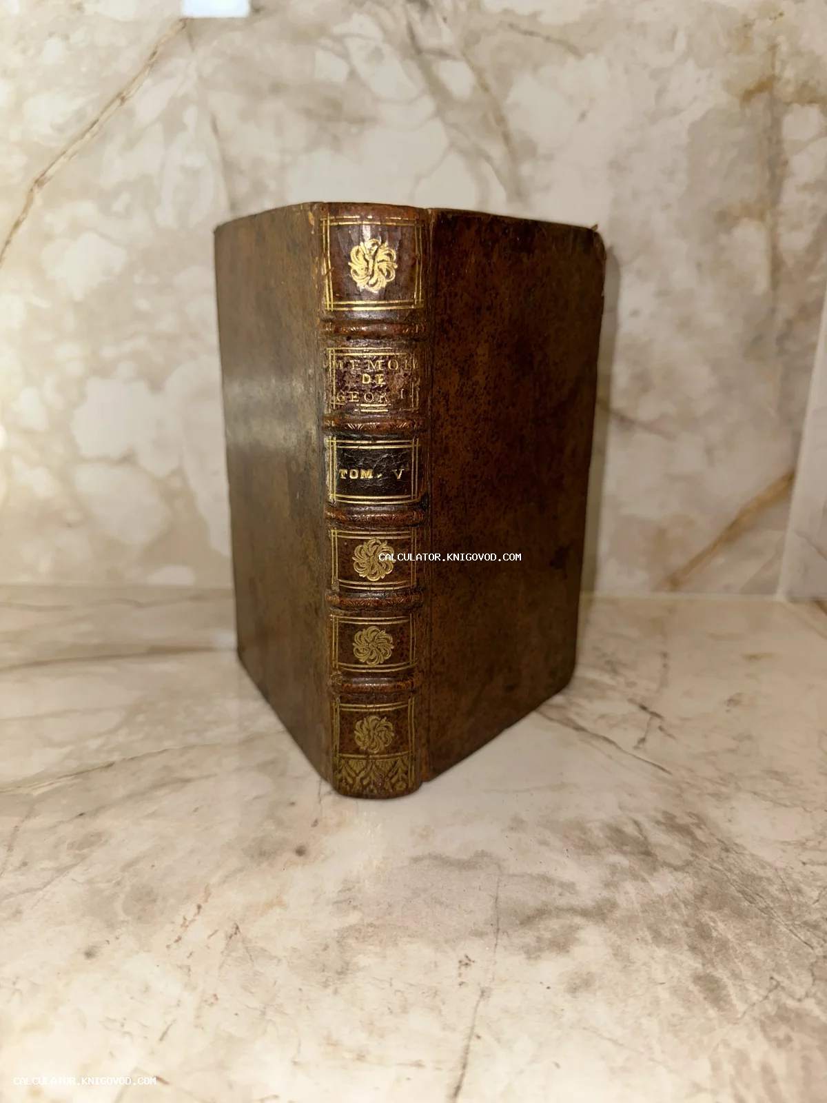 Старинная книга в коричневом кожаном переплете с золотым орнаментом на корешке и бинтами