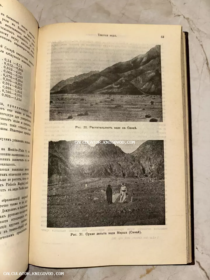 Разворот антикварной книги с черно-белыми фотографиями ландшафтов Синая и текстом на дореволюционном русском языке.