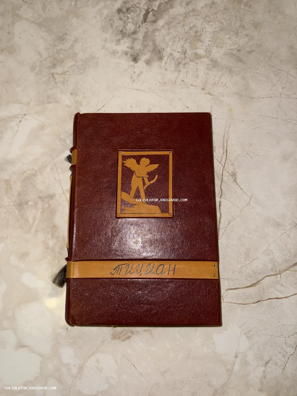 Книга в темно-красном переплете с изображением амура и надписью Тициан на фоне мрамора.