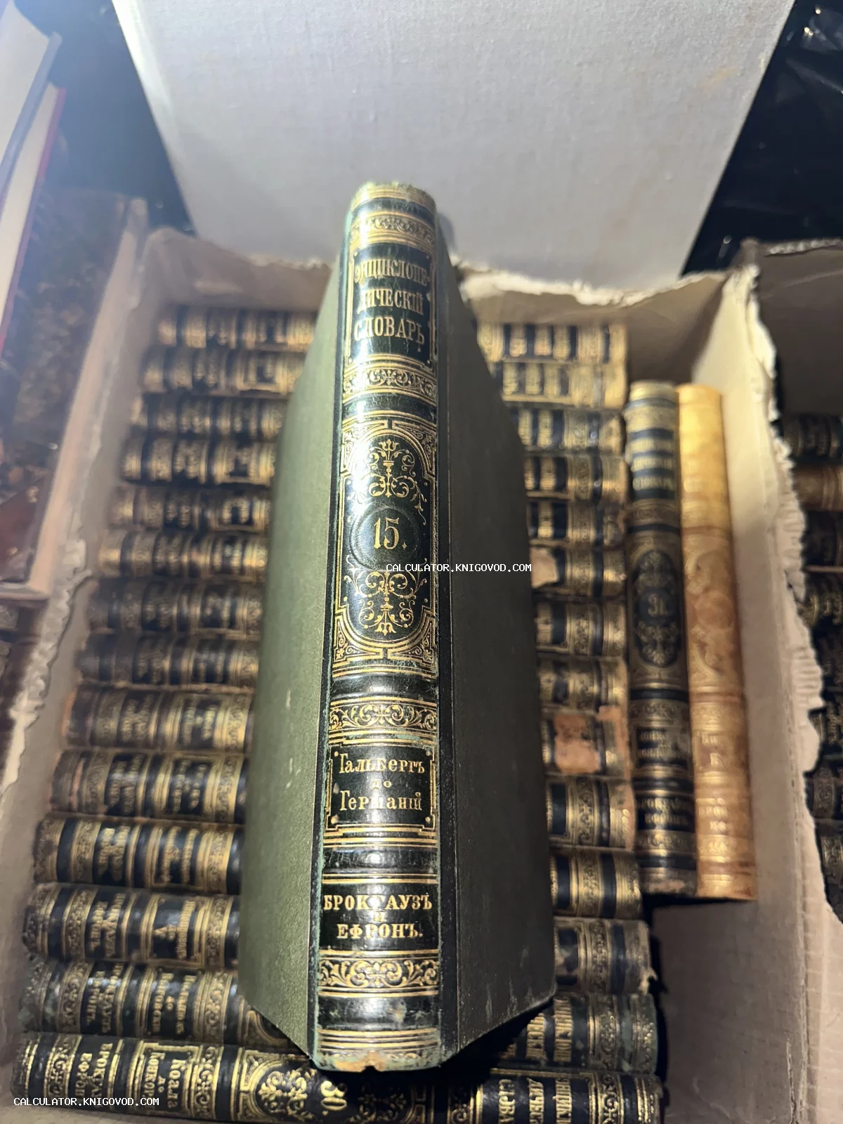 Корешок антикварной книги 'Энциклопедический словарь Брокгауза и Ефрона' с золотым тиснением на фоне множества других томов.