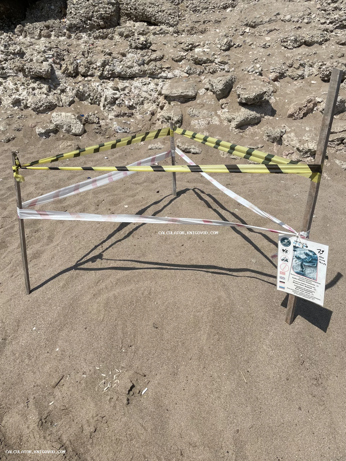 Место кладки яиц морской черепахи на песчаном пляже, огороженное деревянными колышками с сигнальной лентой и информационной табличкой.