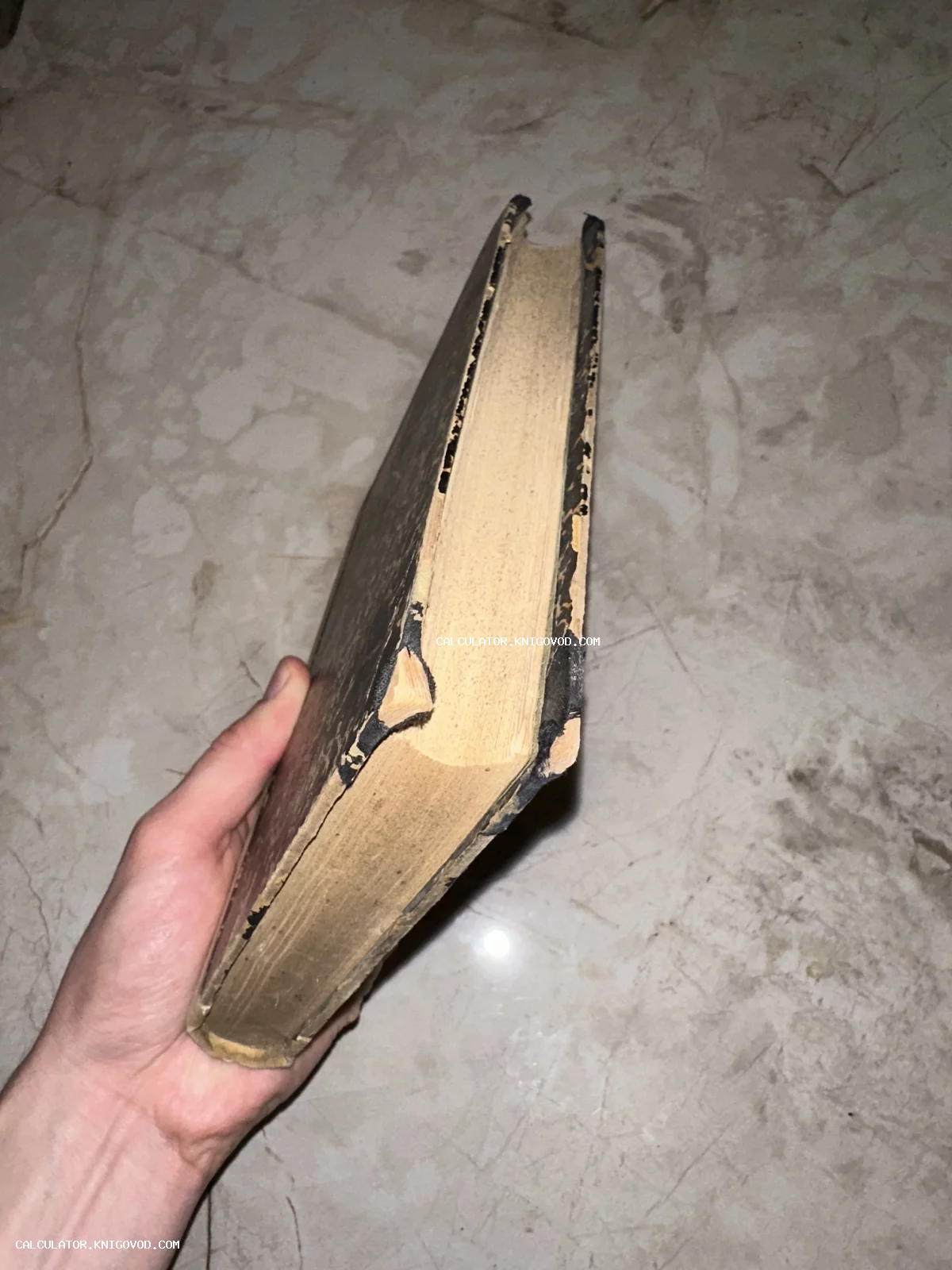 Вид со стороны обреза на старую антикварную книгу с пожелтевшими страницами в руке.