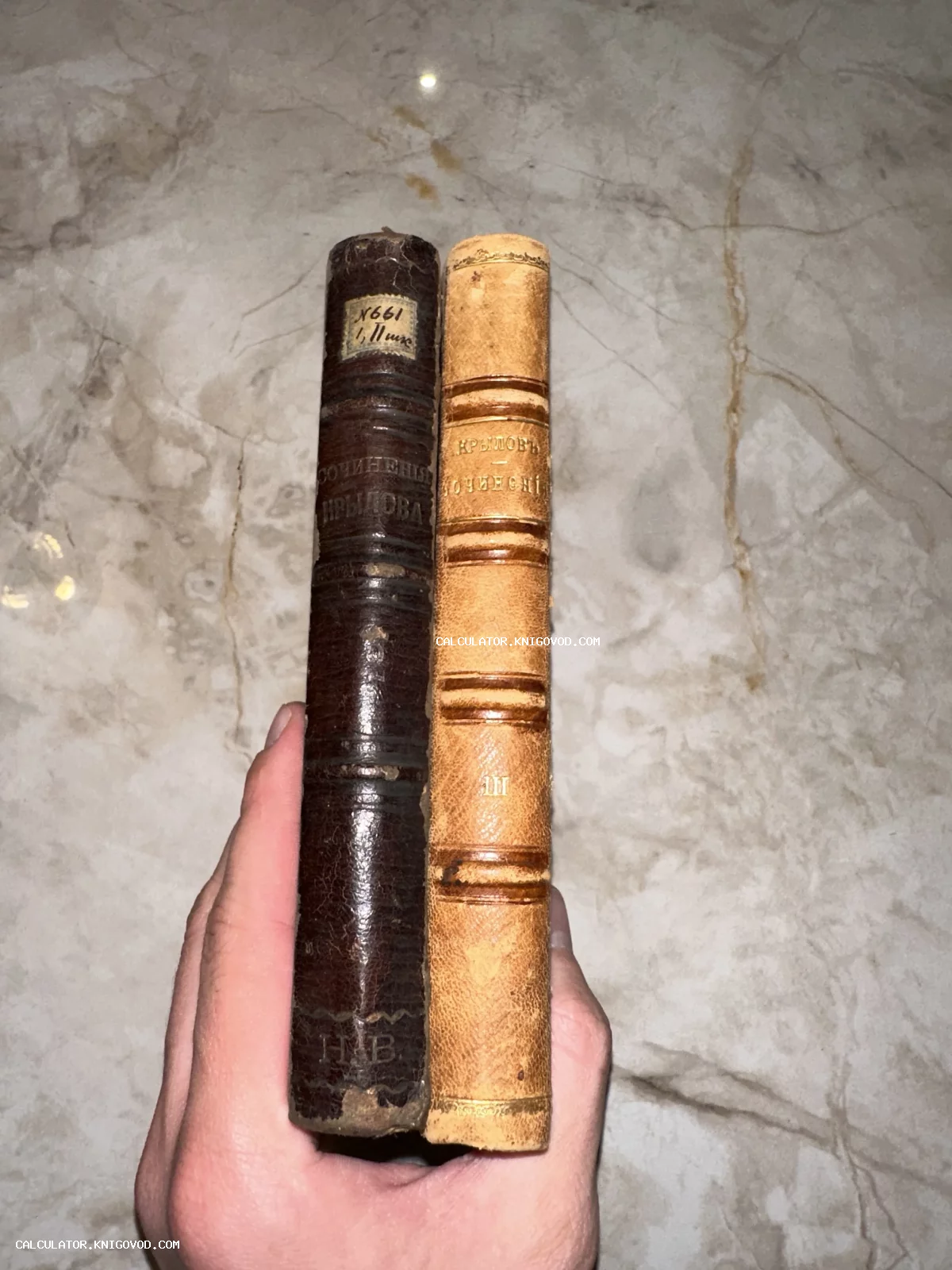 Два антикварных тома сочинений Крылова в кожаных переплетах разного цвета: темно-коричневом и светло-бежевом.