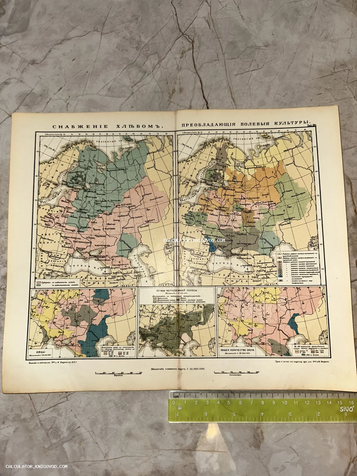 Цветная антикварная карта Российской Империи начала XX века с инфографикой по снабжению хлебом, полевым культурам и животноводству.