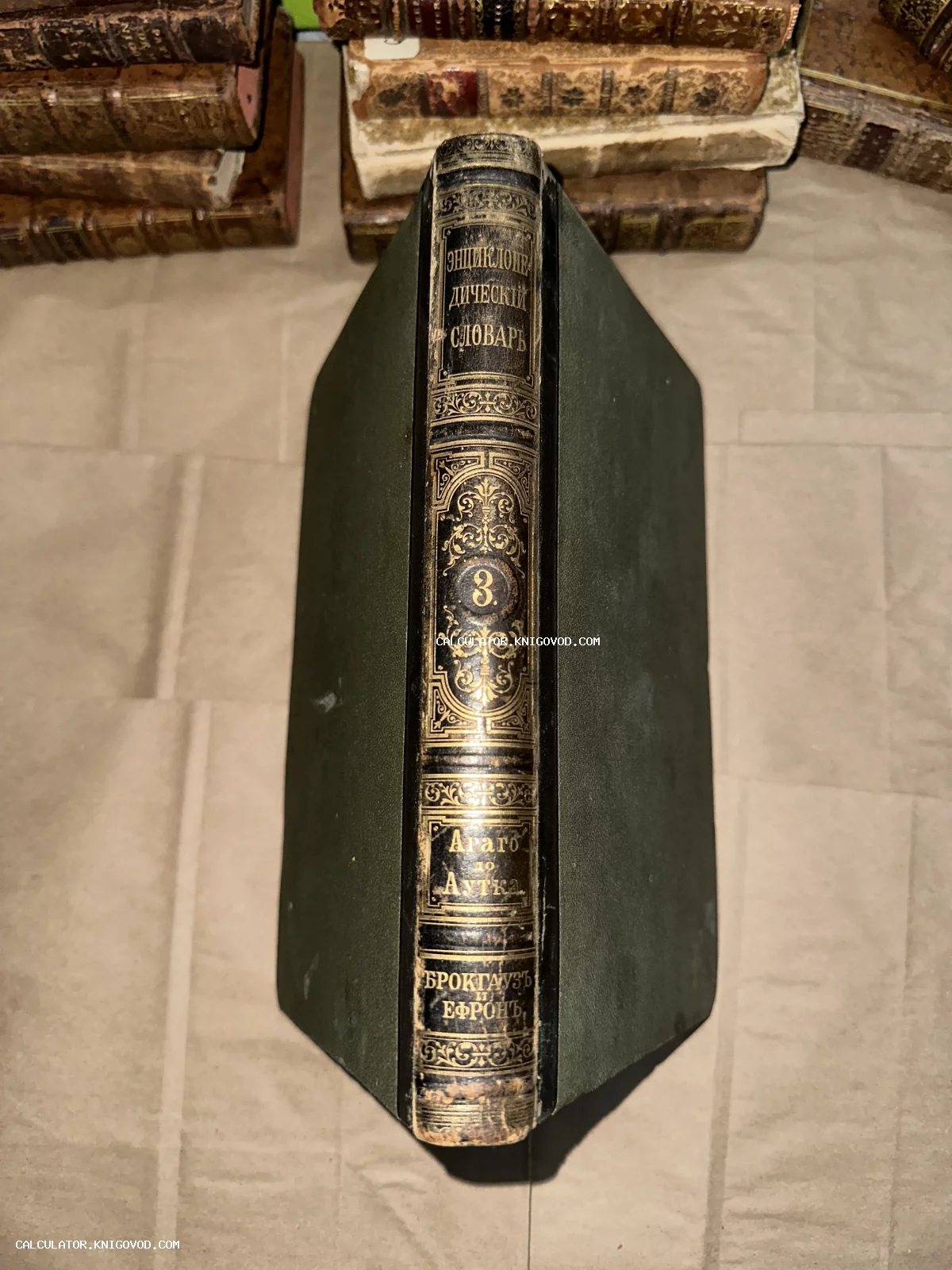 Корешок антикварной книги Энциклопедический словарь Брокгауза и Ефрона с золотым тиснением