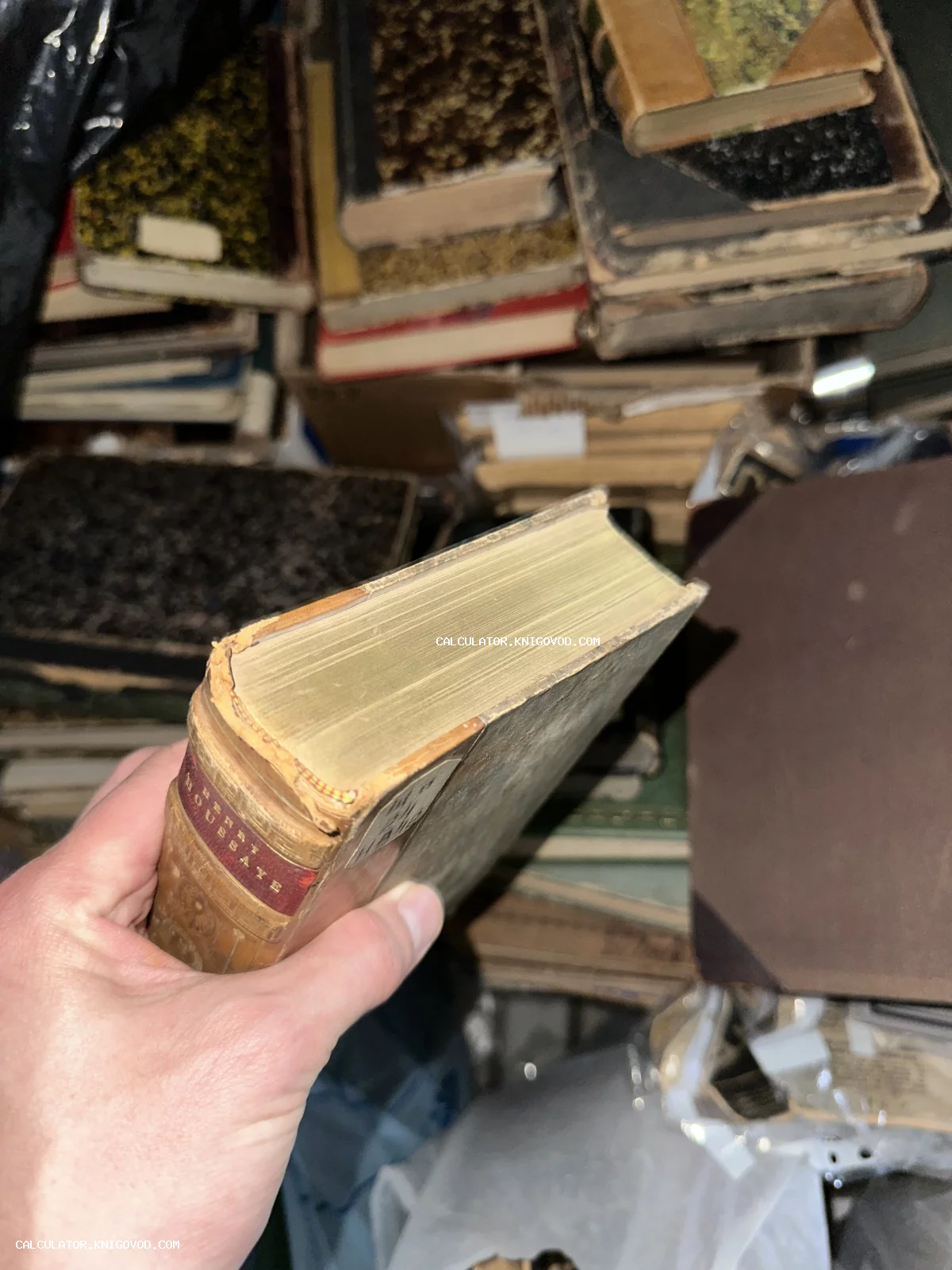 Старинная книга с пожелтевшими страницами и тисненым корешком в руке коллекционера.