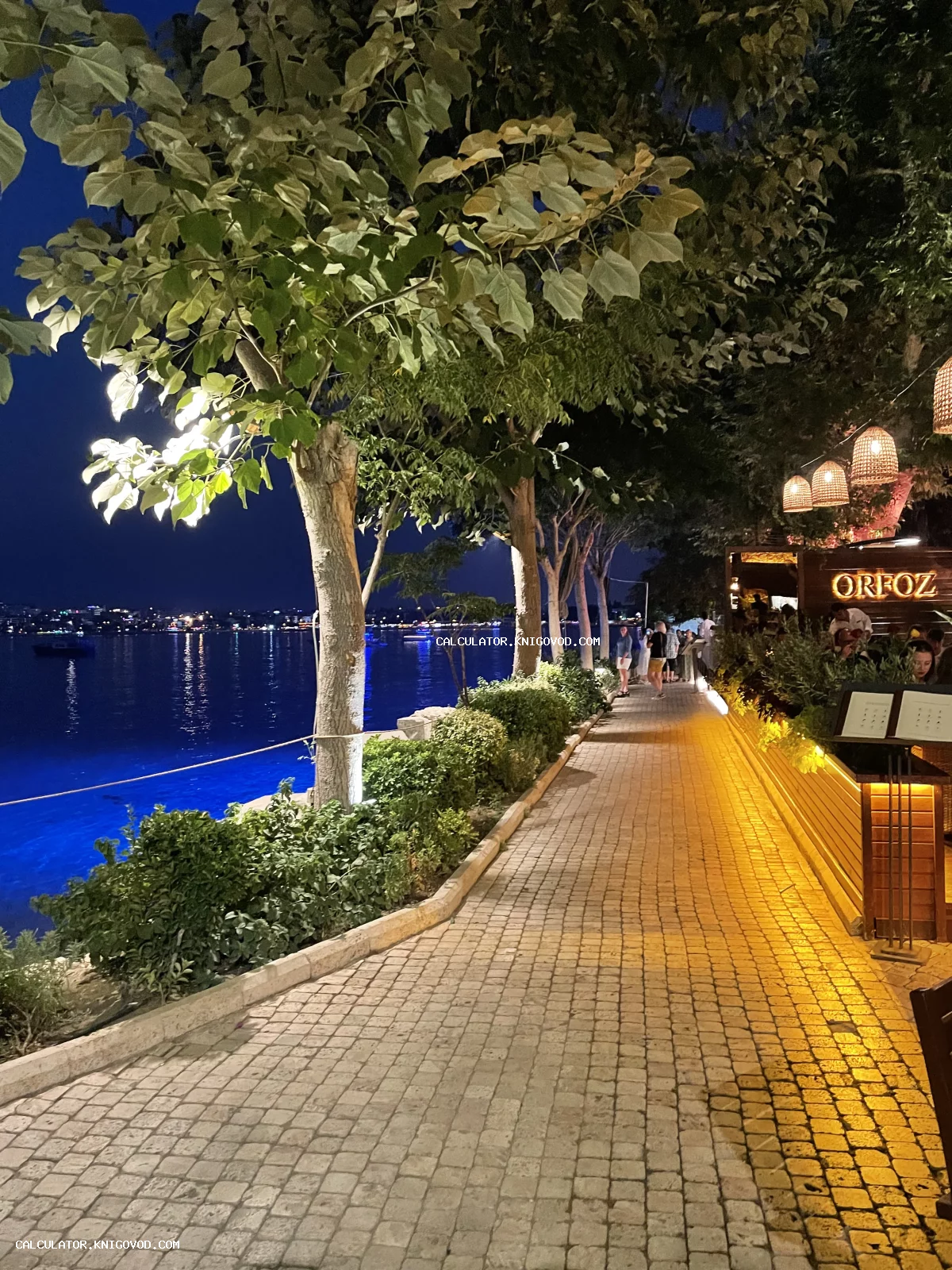 Вид на ночную набережную с каменной брусчаткой, освещенными деревьями и рестораном Orfoz у воды под ночным небом.
