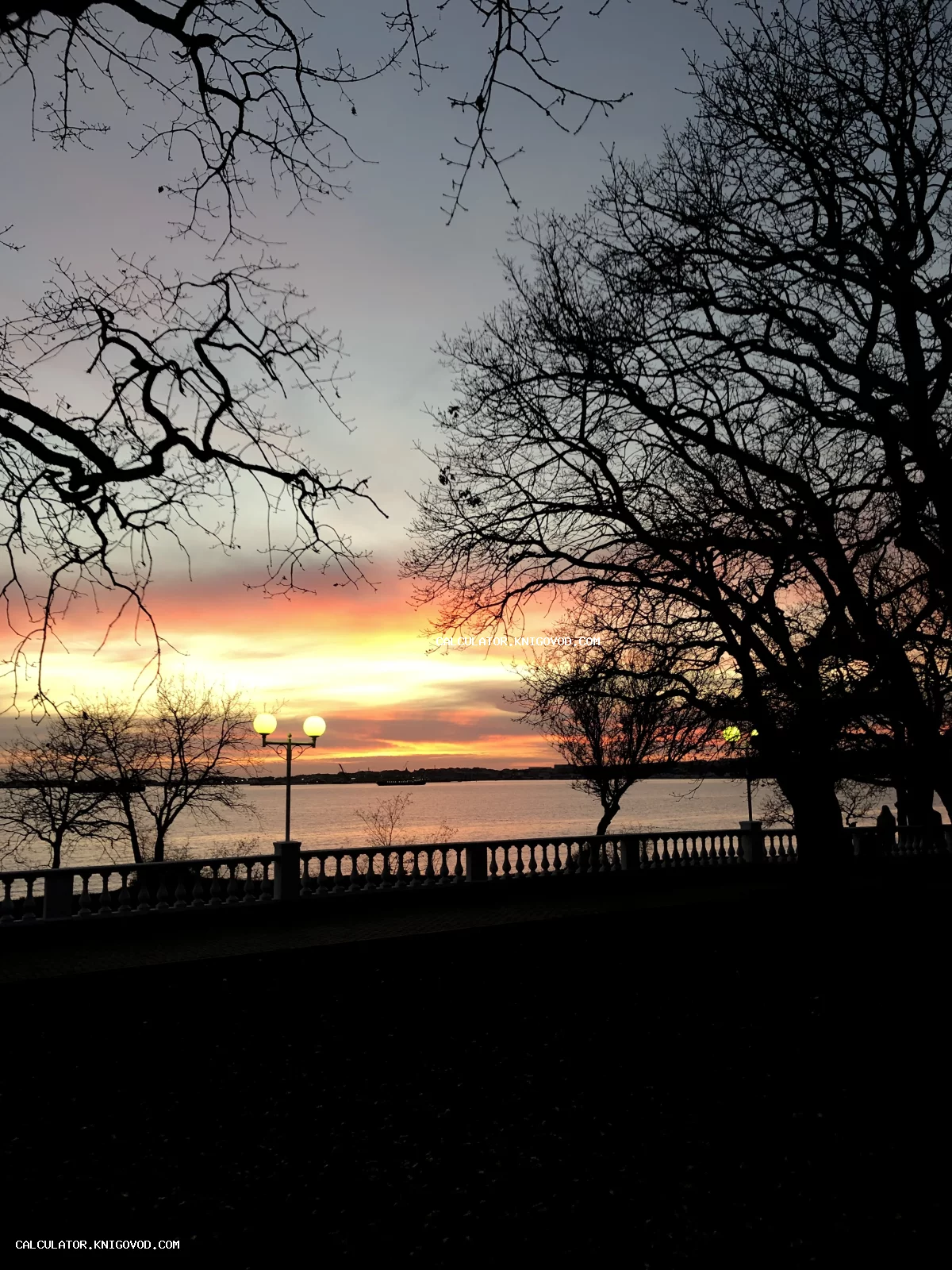Живописный закат над рекой, вид сквозь силуэты деревьев и классическую балюстраду с уличным фонарем.