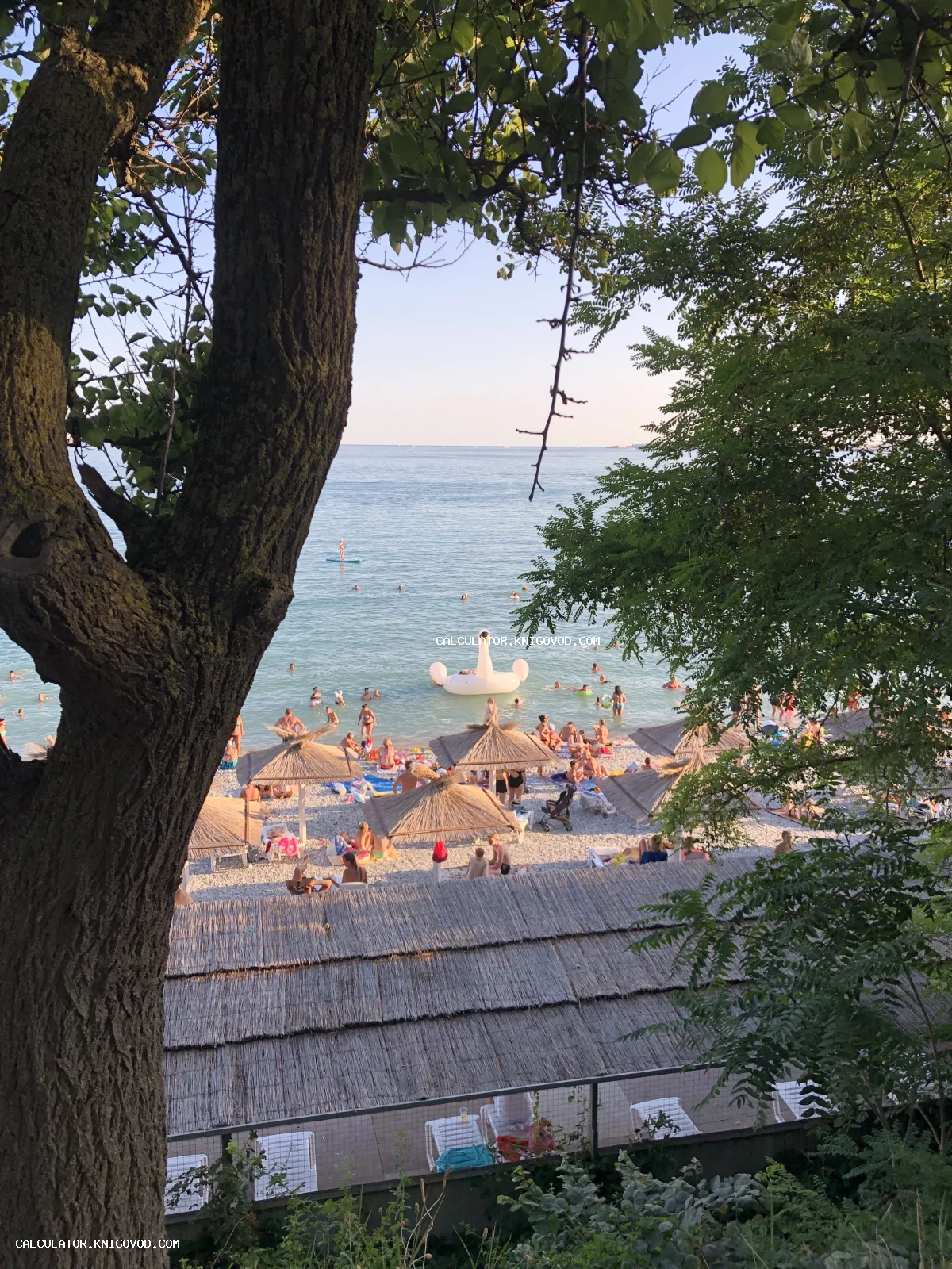 Вид на оживленный галечный пляж с соломенными зонтиками и большим надувным лебедем сквозь ветви деревьев.