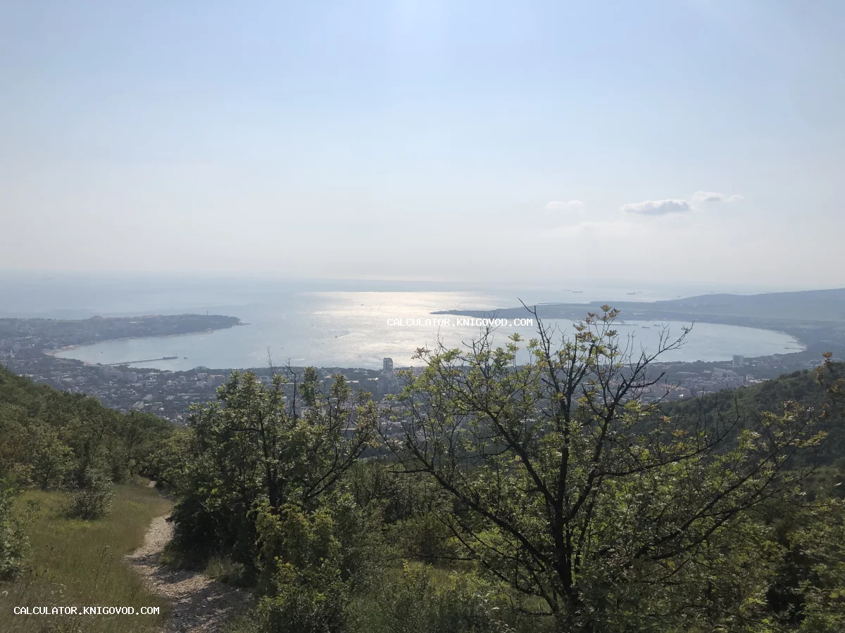 Вид с горного склона на морскую бухту, освещенную солнцем, с городом на побережье и лесной тропой на переднем плане.