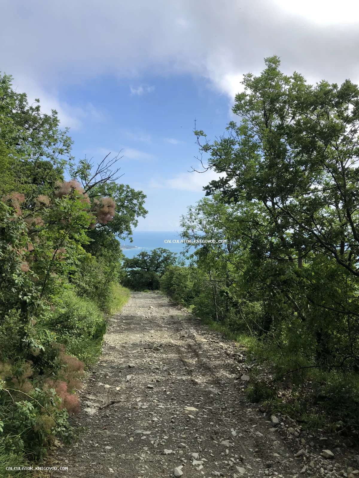Каменистая тропа в горах, окруженная зелеными деревьями и кустарниками, ведущая к синему морю под облачным небом.
