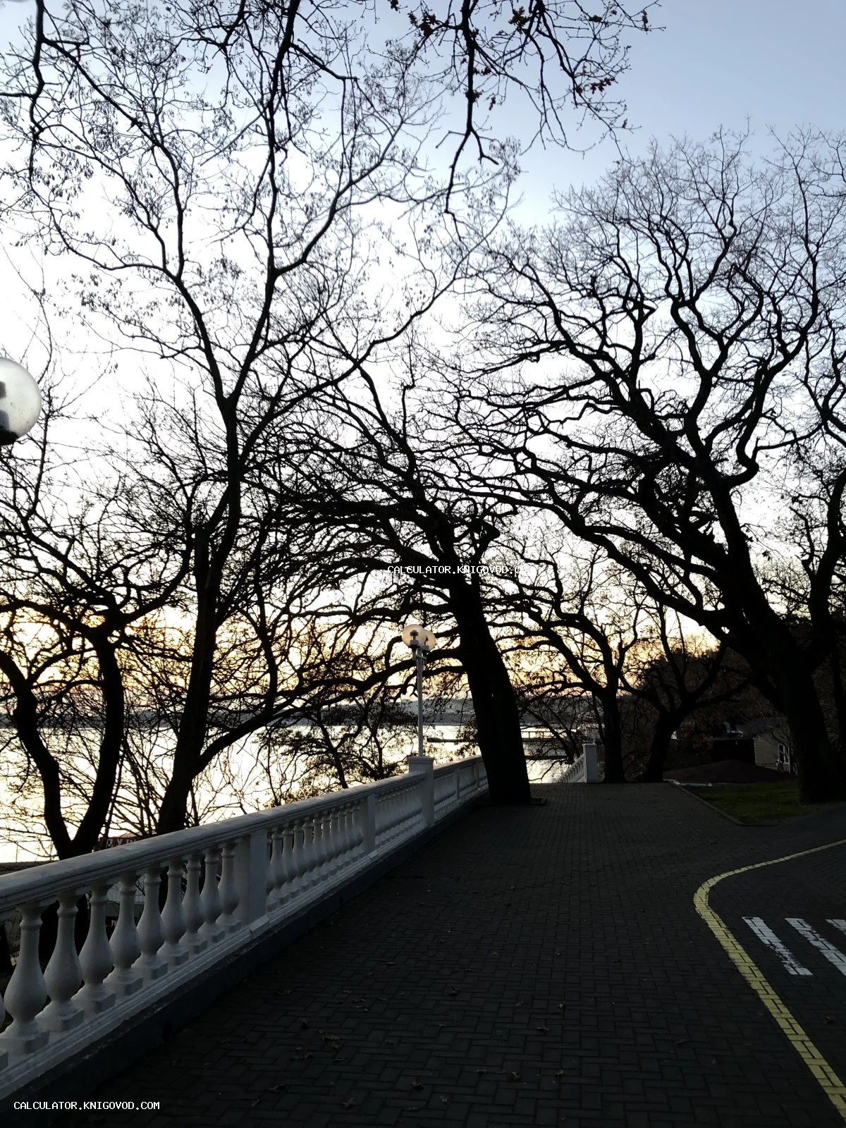 Вид на набережную с белой балюстрадой и силуэтами деревьев на фоне заката над водой.