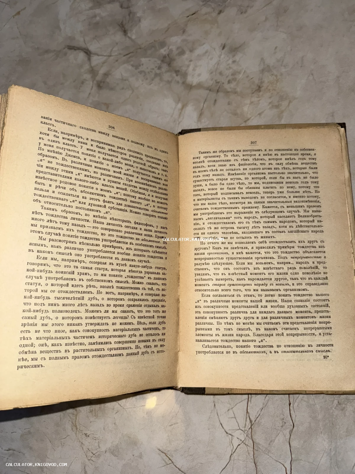 Разворот старинной книги с текстом на дореволюционном русском языке, страницы 306 и 307.