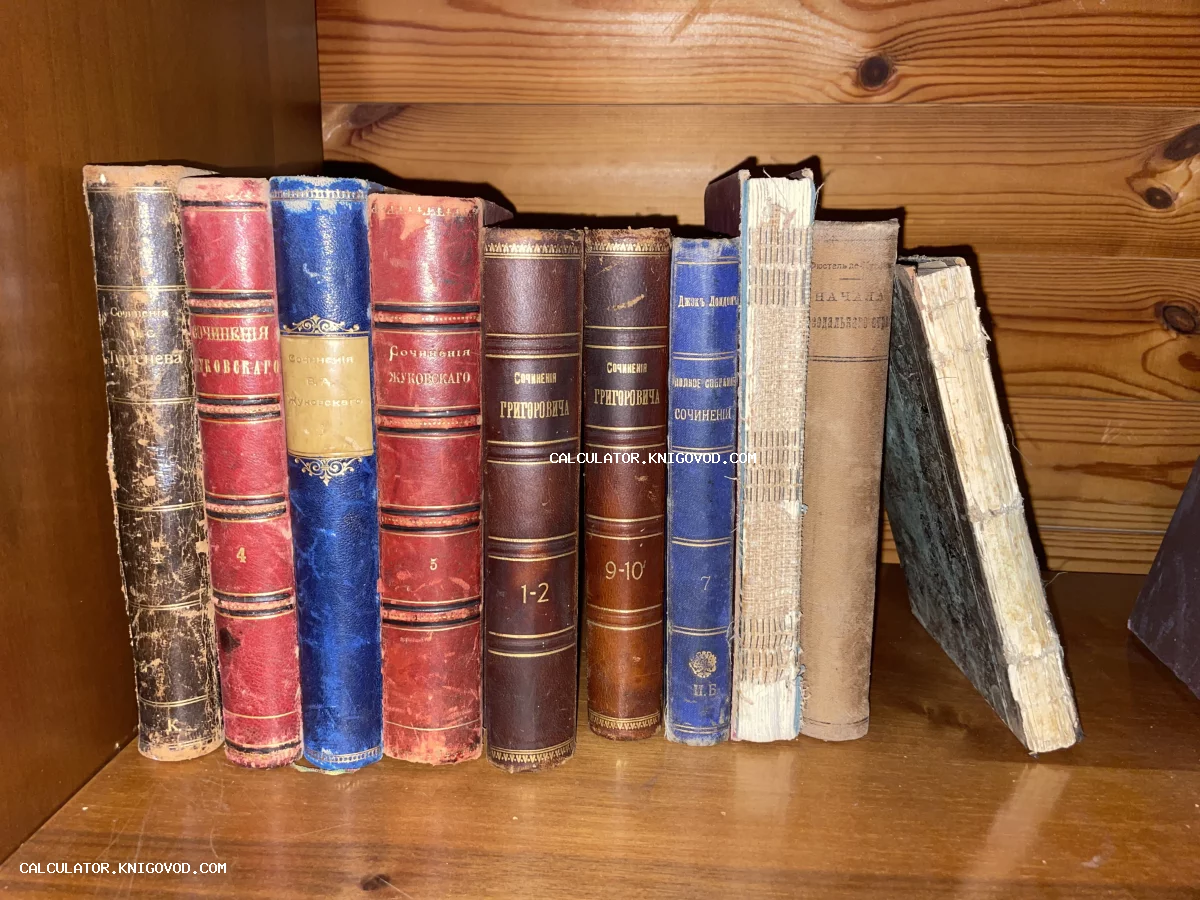 Ряд старинных книг в кожаных и тканевых переплетах с золотым тиснением на деревянной полке: сочинения Тургенева, Жуковского, Григоровича и Джека Лондона.