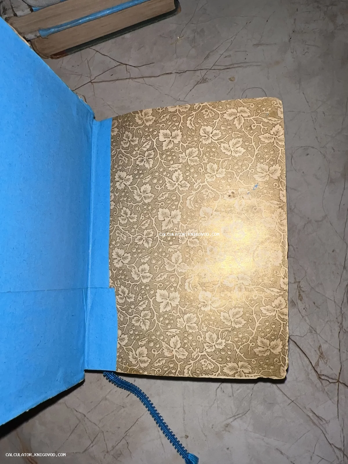 Разворот старинной книги с золотистым растительным орнаментом на форзаце и ярко-голубой внутренней обложкой.