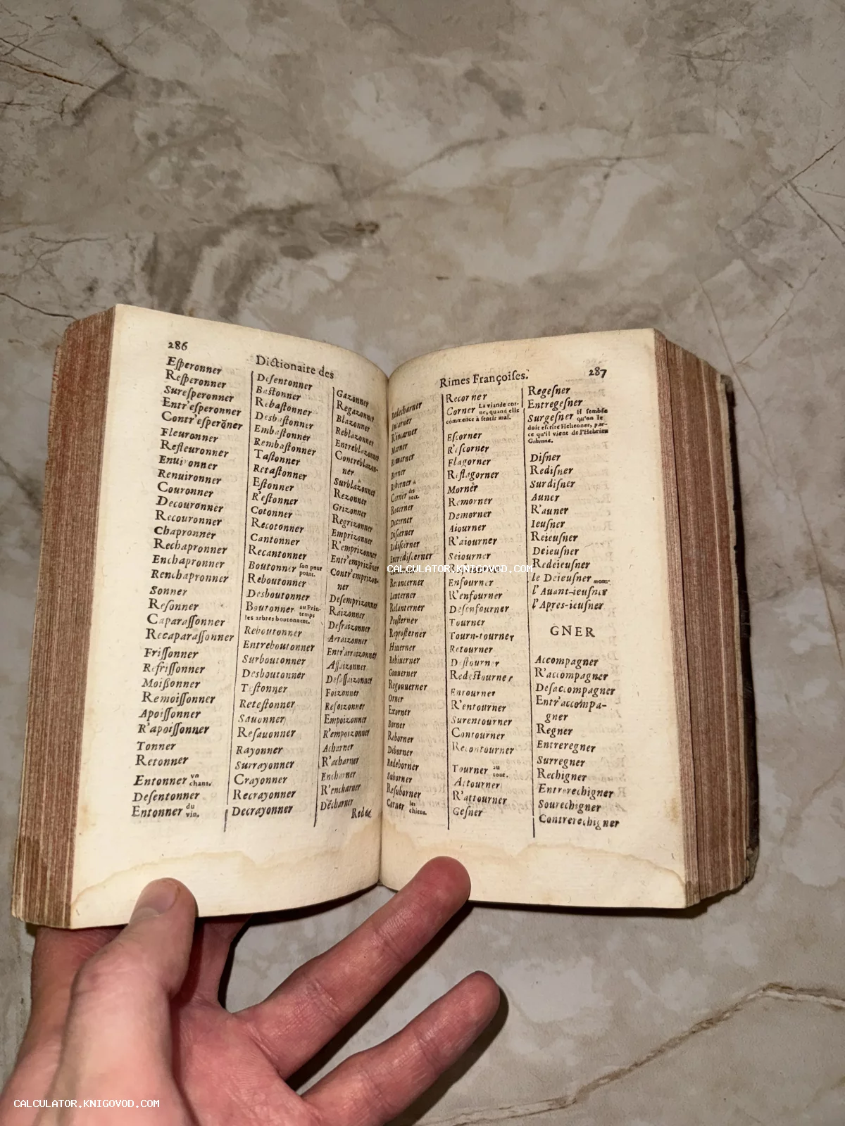 Разворот старинной книги Dictionaire des Rimes Françoises с колонками слов на французском языке.