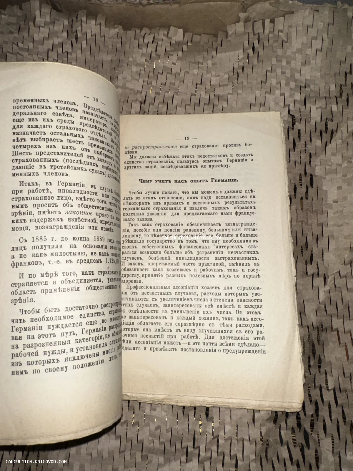 Разворот антикварной книги с текстом на дореформенном русском языке, страницы 18 и 19.