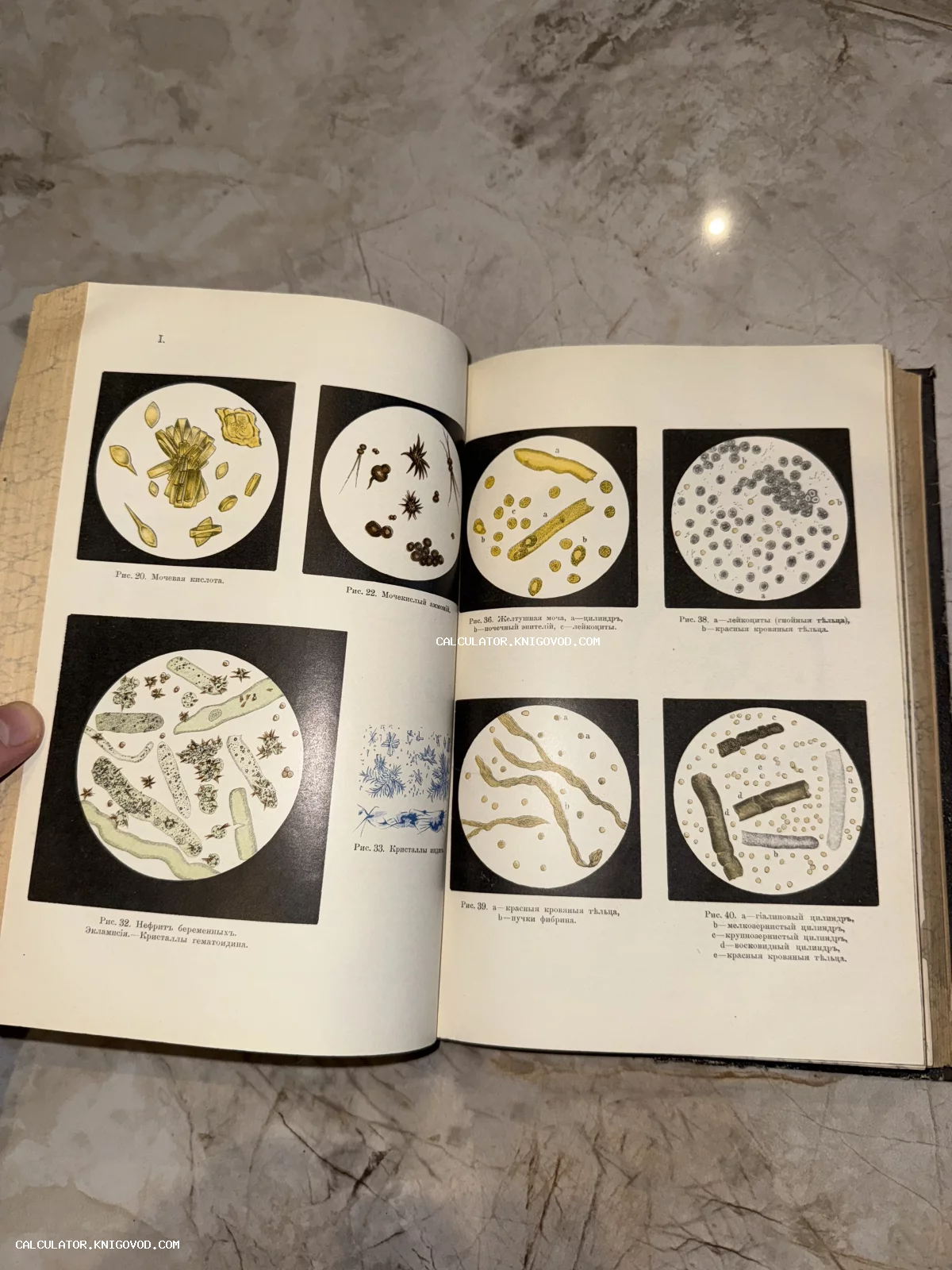 Разворот старинной медицинской книги с цветными литографиями микроскопических исследований кристаллов и биологических структур.