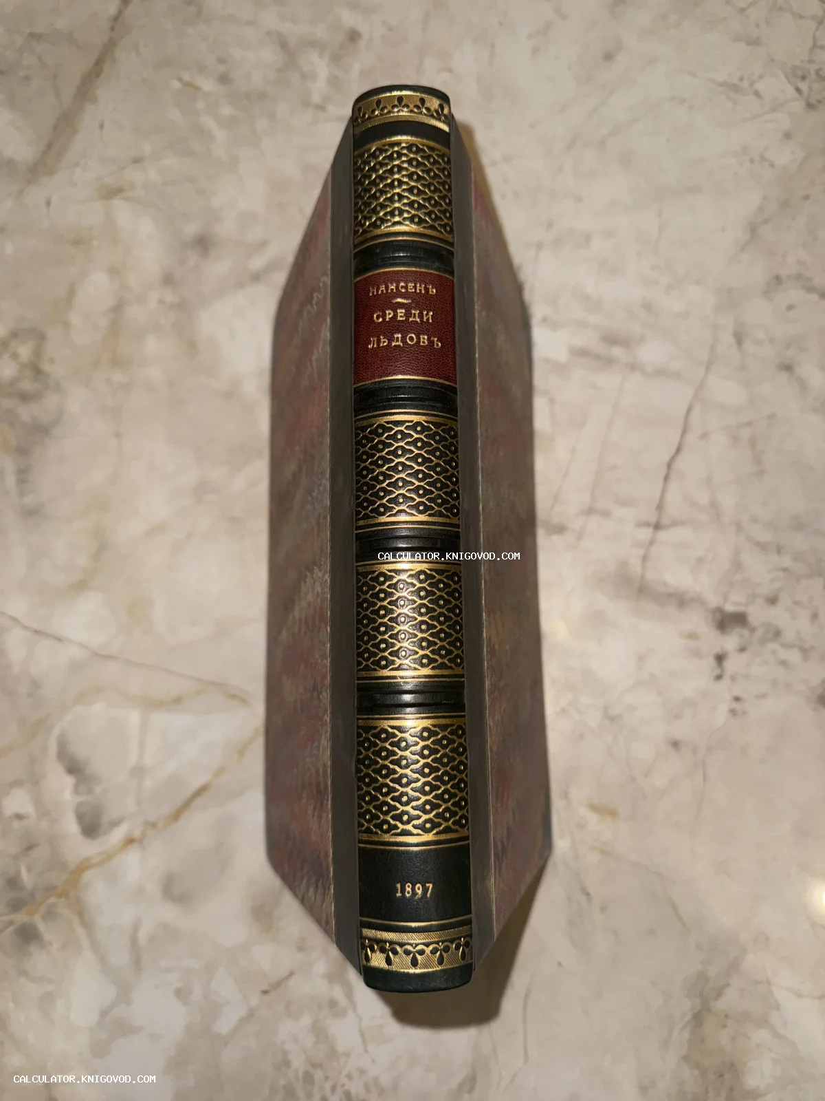 Корешок антикварной книги Фритьофа Нансена «Среди льдов» 1897 года в полукожаном переплете с золотым тиснением.