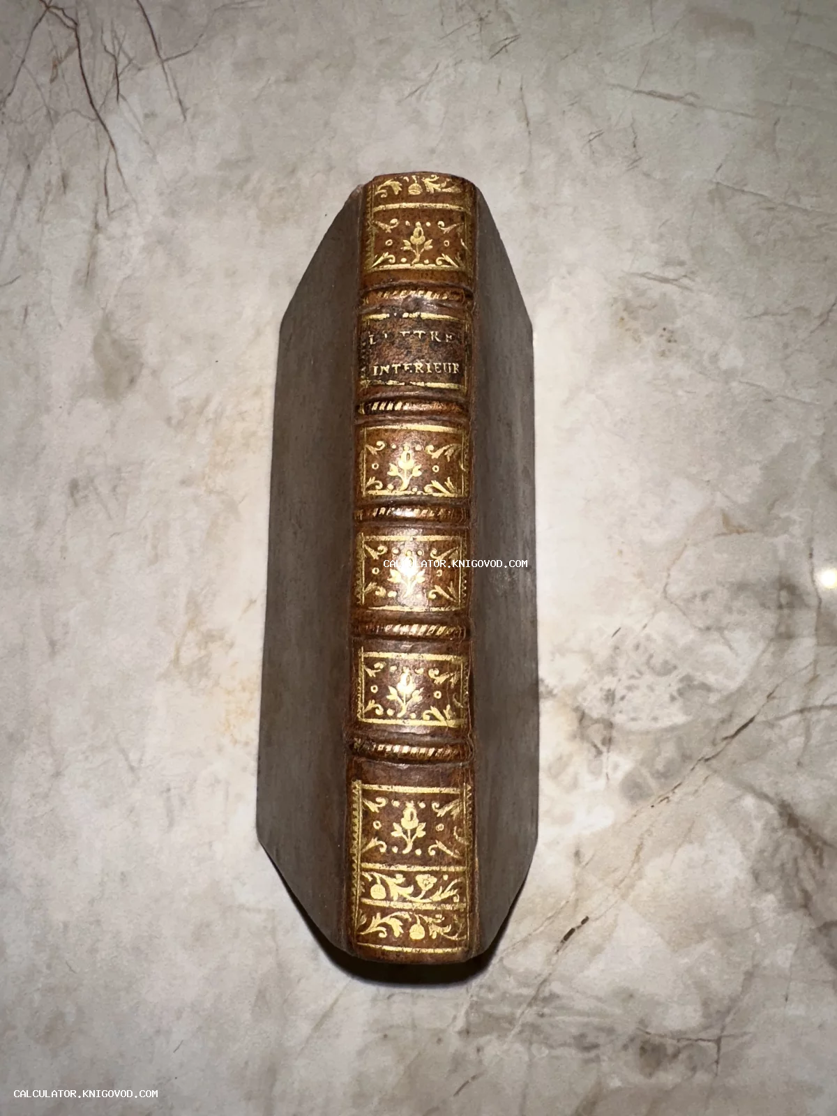 Корешок старинной французской книги с надписью L'ETRE INTERIEUR и золотым орнаментом на мраморном фоне.