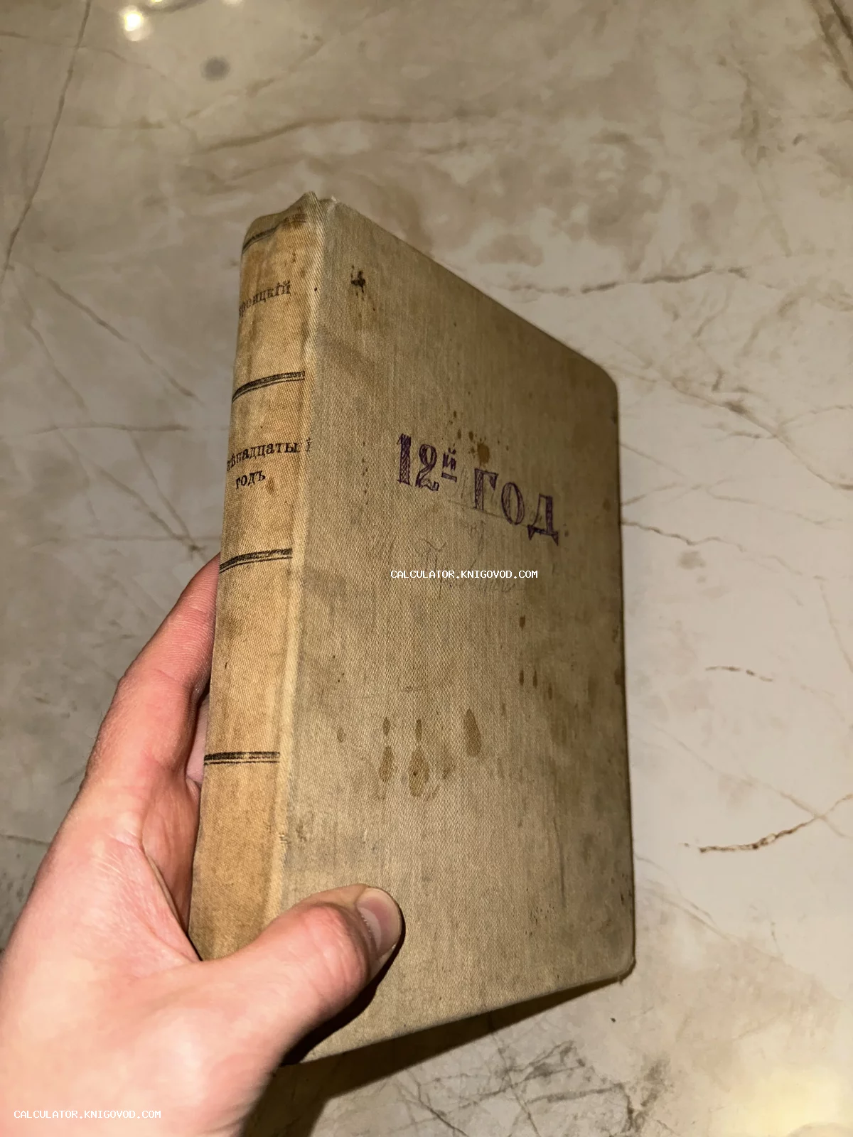 Старинная книга в пожелтевшем тканевом переплете с тиснением «12-й ГОД» на обложке и фамилией автора на корешке.