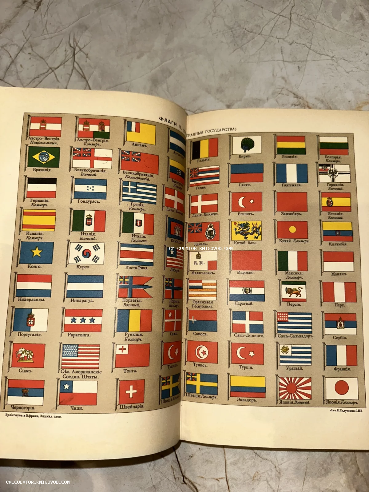 Разворот антикварной книги с цветными иллюстрациями флагов мира на дореволюционном русском языке.