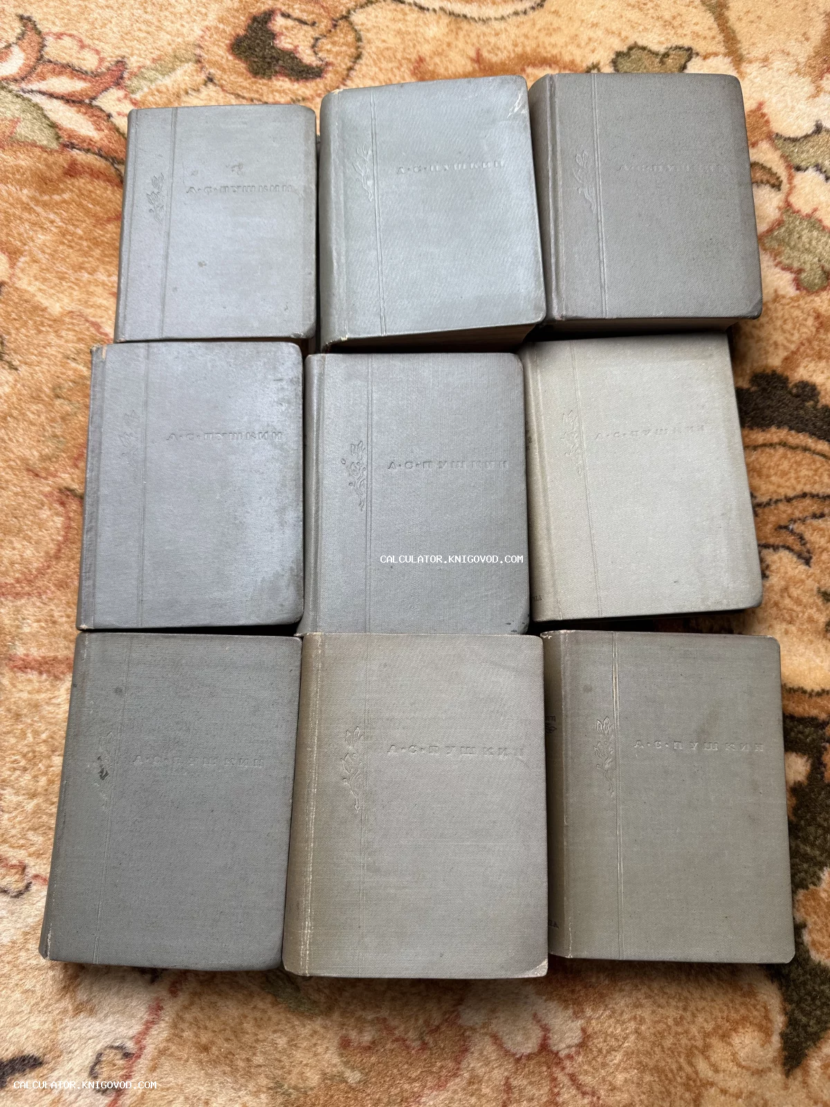 Девять старинных томов в серых тканевых переплетах с тиснением «А. С. Пушкин», разложенные на ковре.