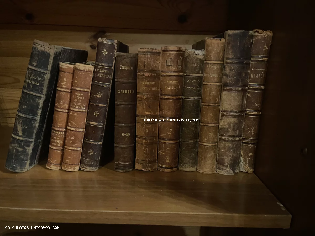 Ряд старинных книг с потертыми кожаными корешками и золотым тиснением на деревянной полке.