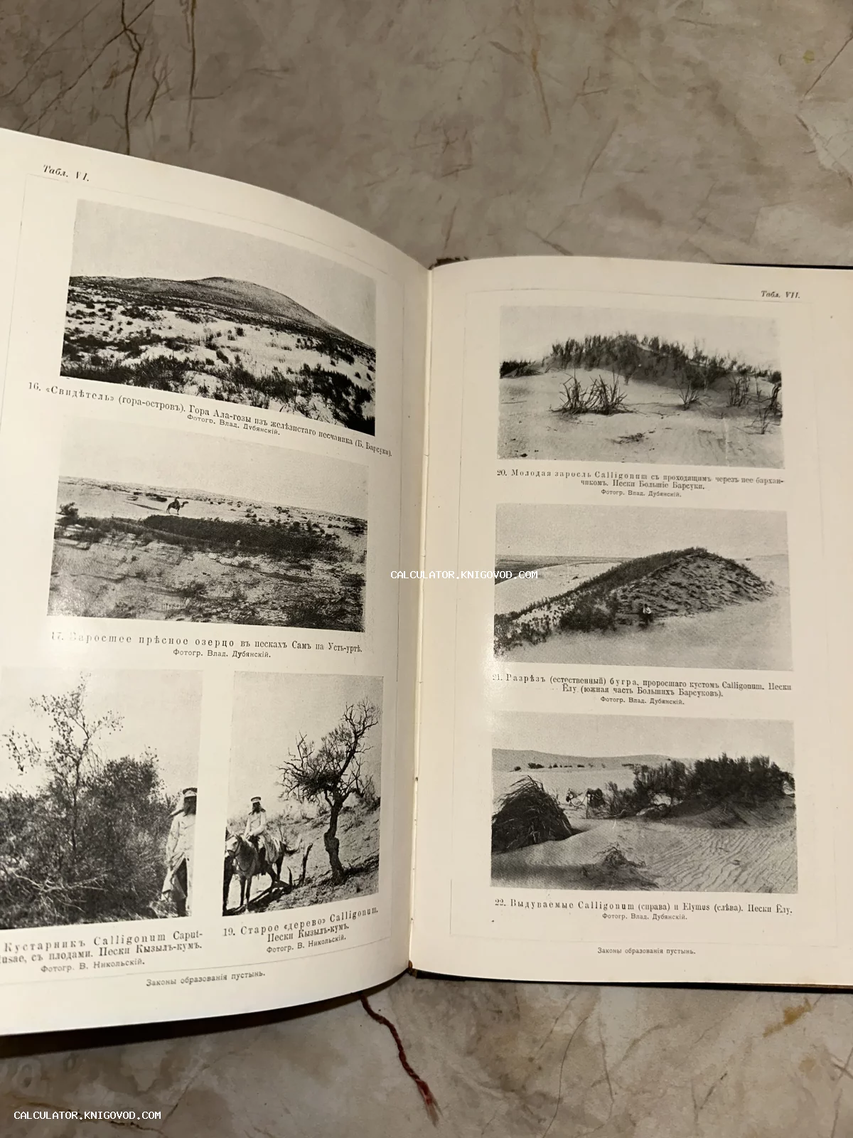 Разворот старинной книги с черно-белыми фотографиями пустынных пейзажей, барханов и участников экспедиции на лошадях.